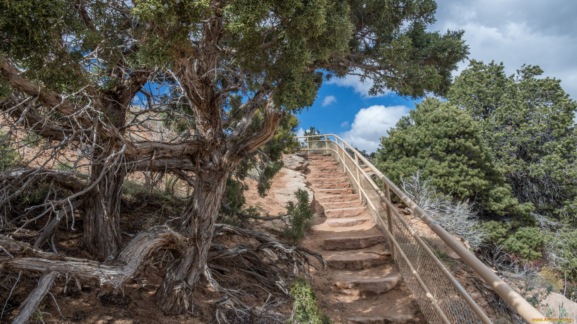 природа, дороги, ступеньки