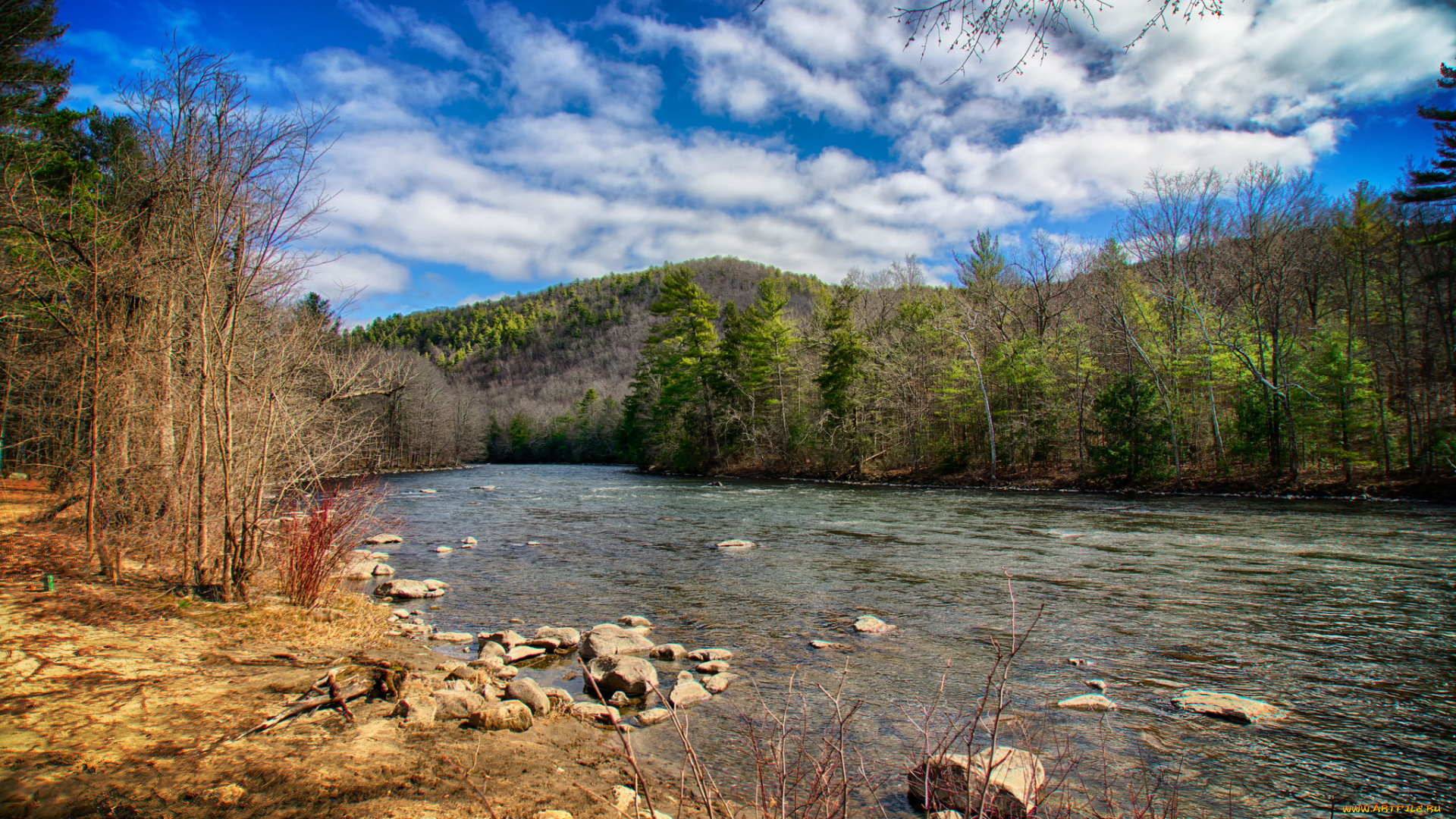 природа, реки, озера, лес, река