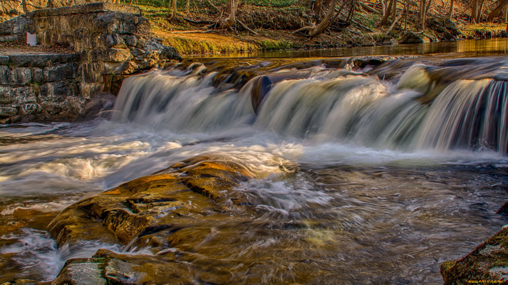 природа, реки, озера, лес, река
