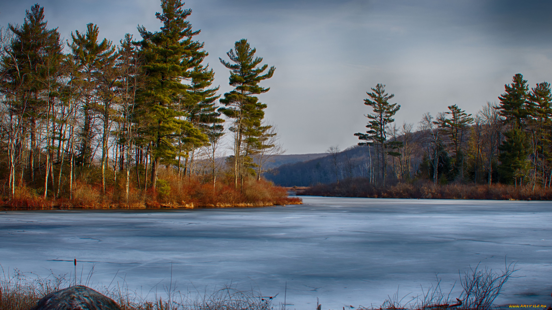 природа, реки, озера, лес, река