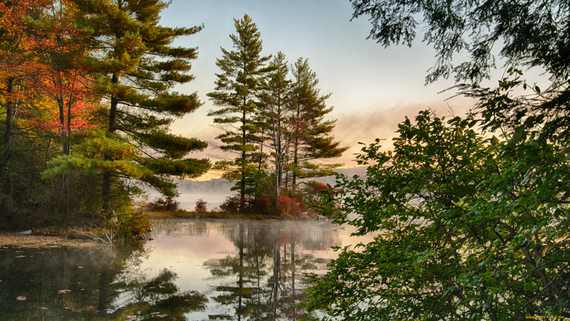 природа, реки, озера, лес, река