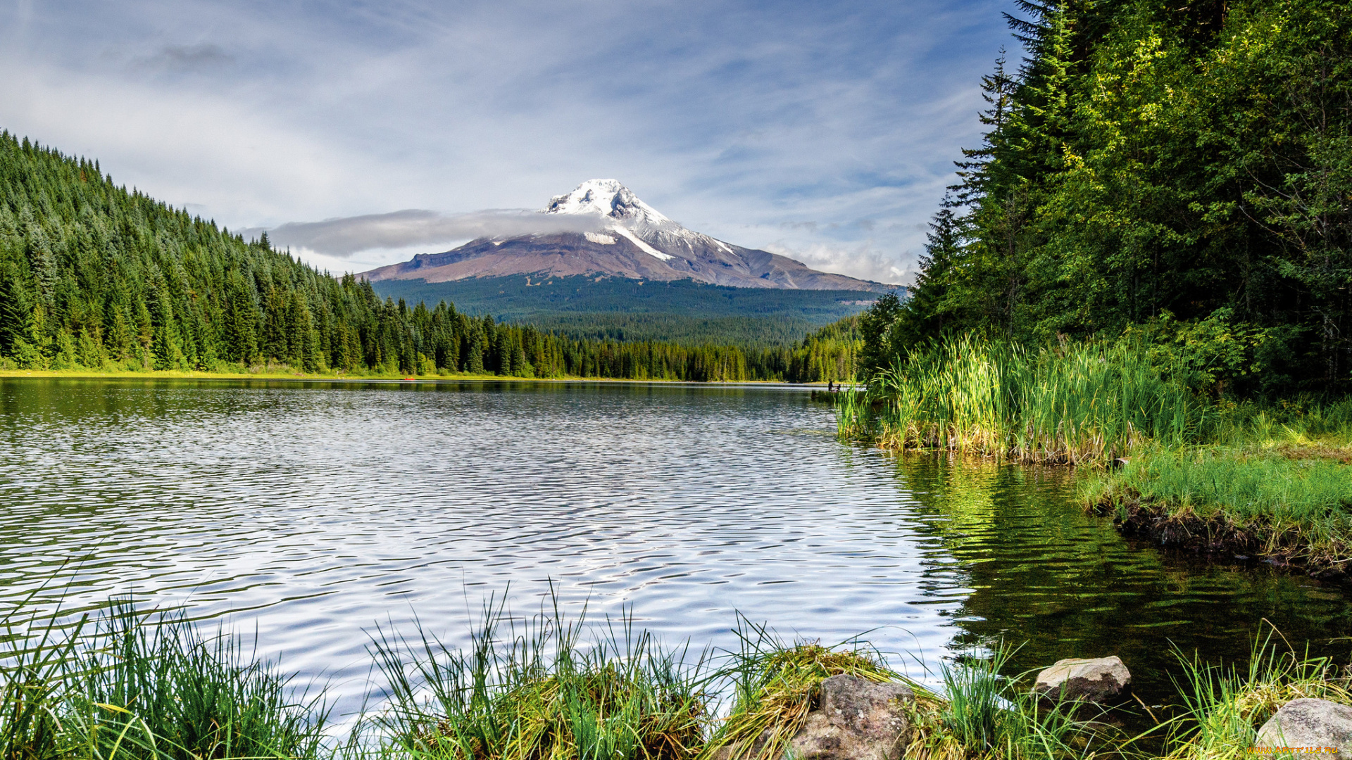 природа, реки, озера, река, лес