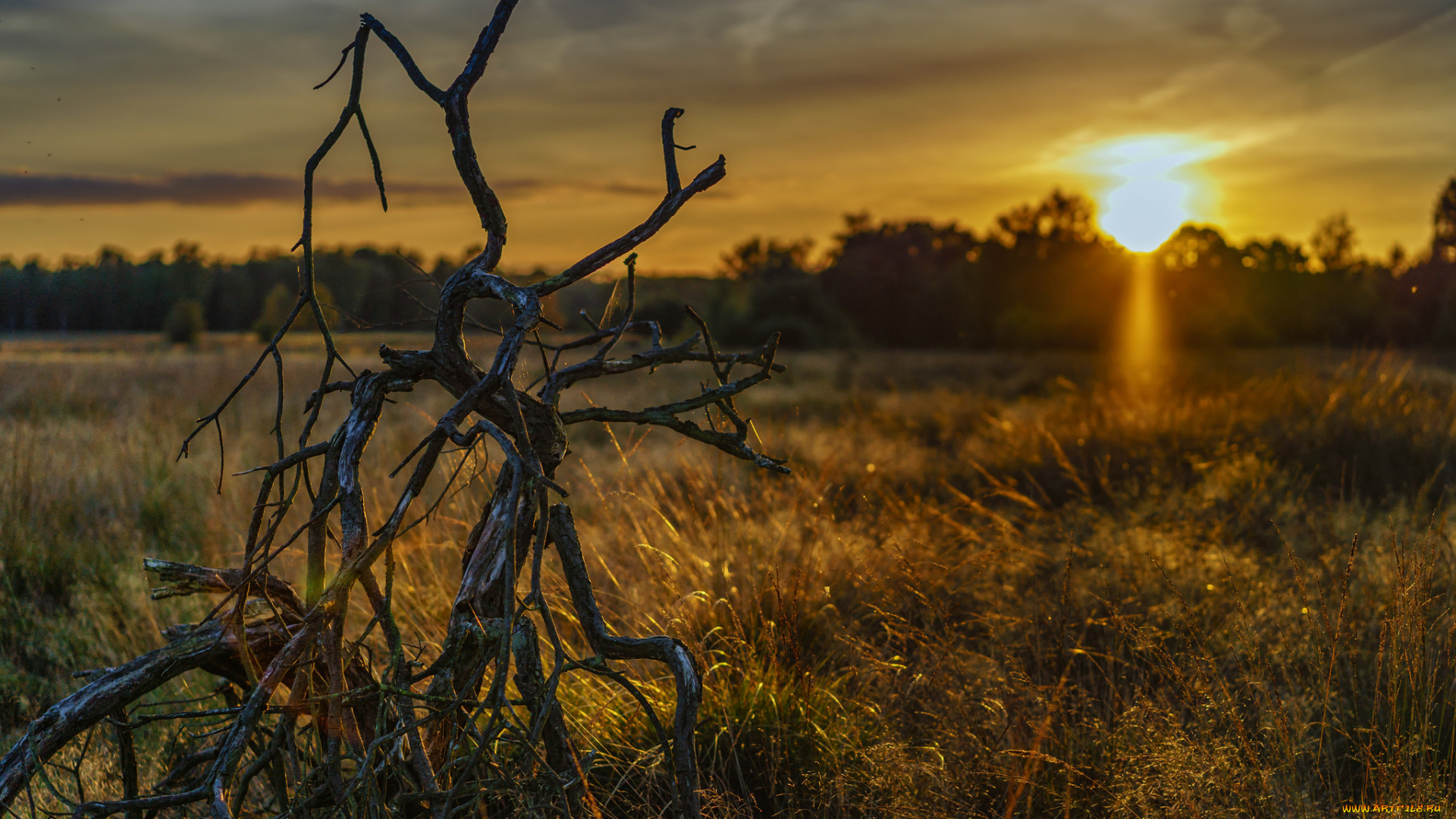 природа, восходы, закаты, рассвет