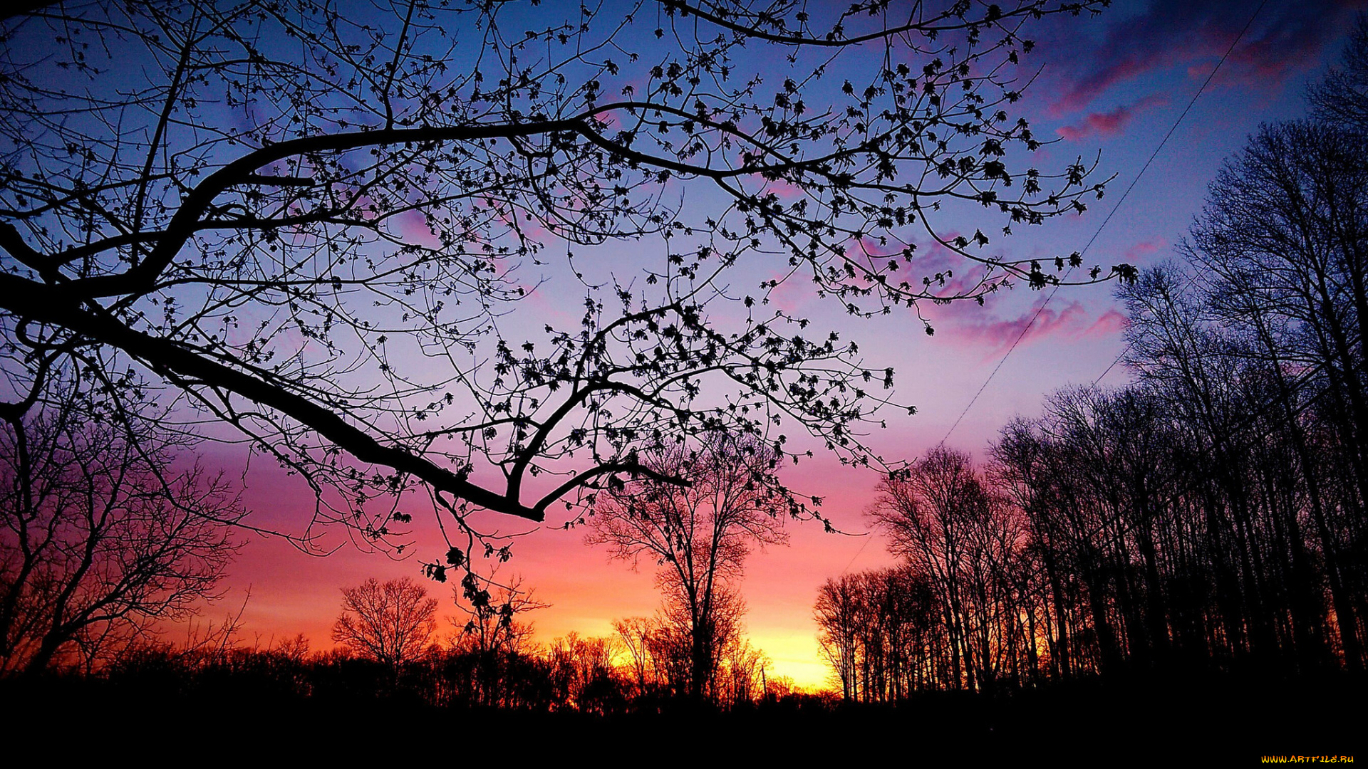 природа, восходы, закаты, рассвет