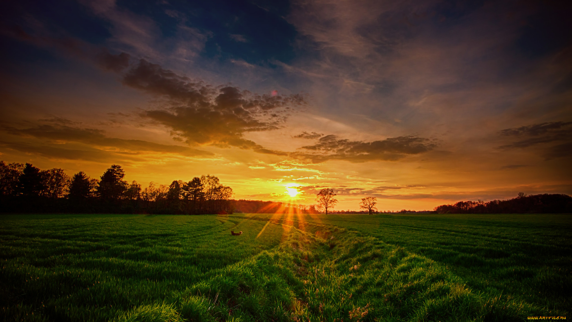 природа, восходы, закаты, рассвет