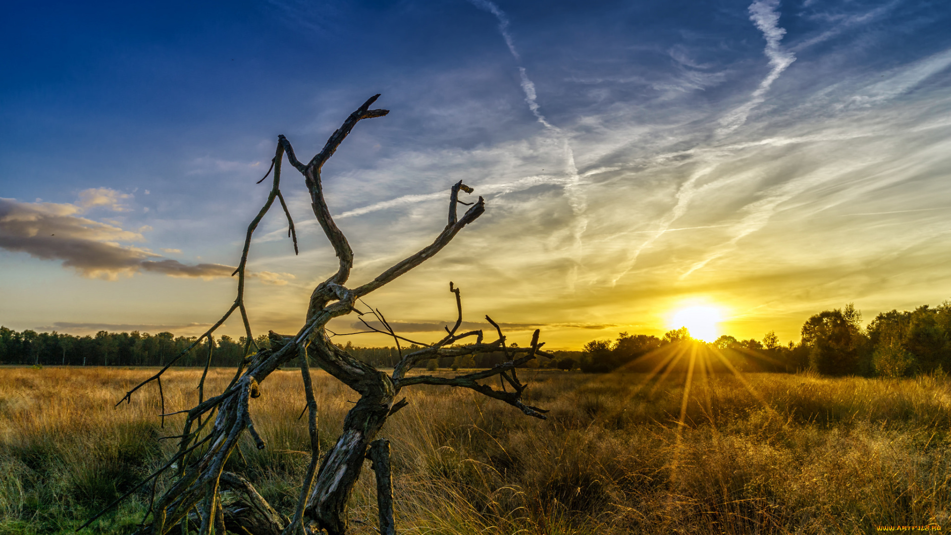 природа, восходы, закаты, рассвет