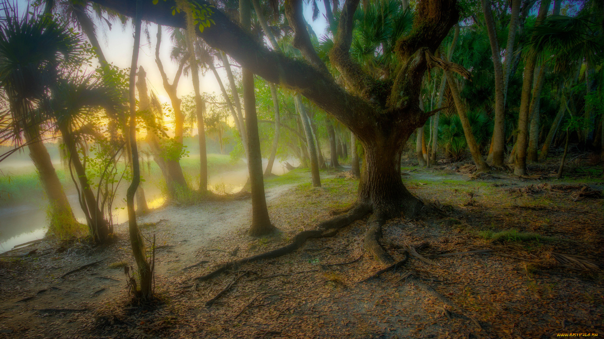 природа, восходы, закаты, рассвет