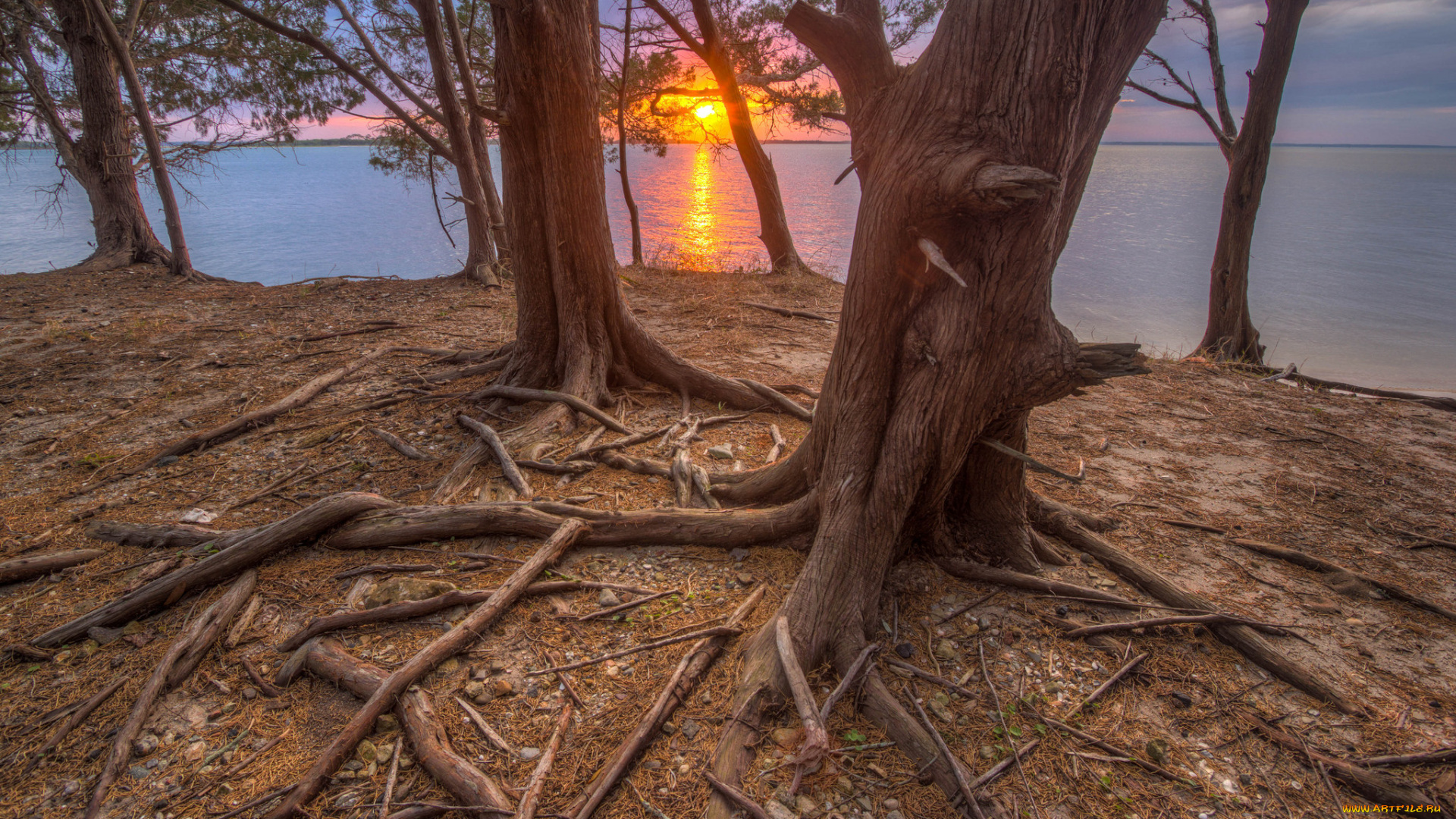 природа, восходы, закаты, рассвет
