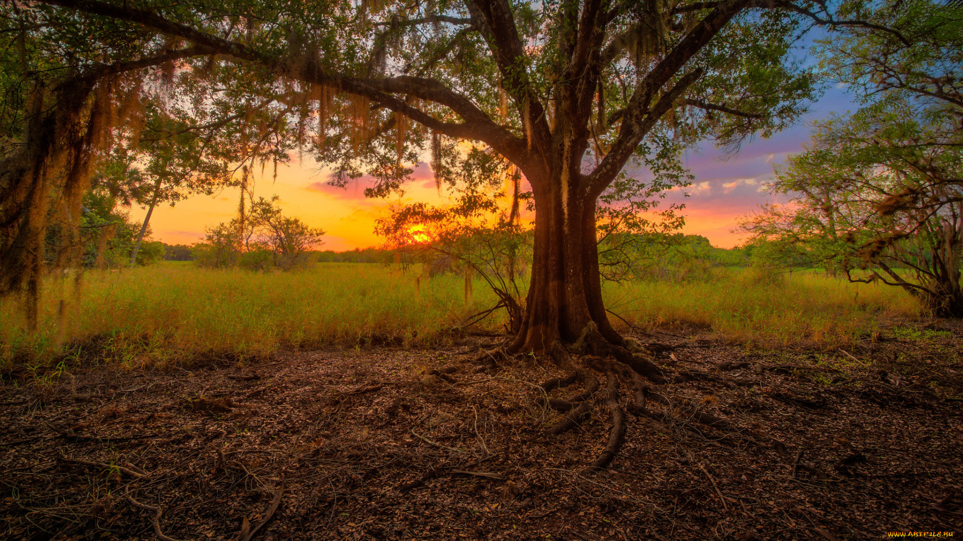 природа, восходы, закаты, рассвет