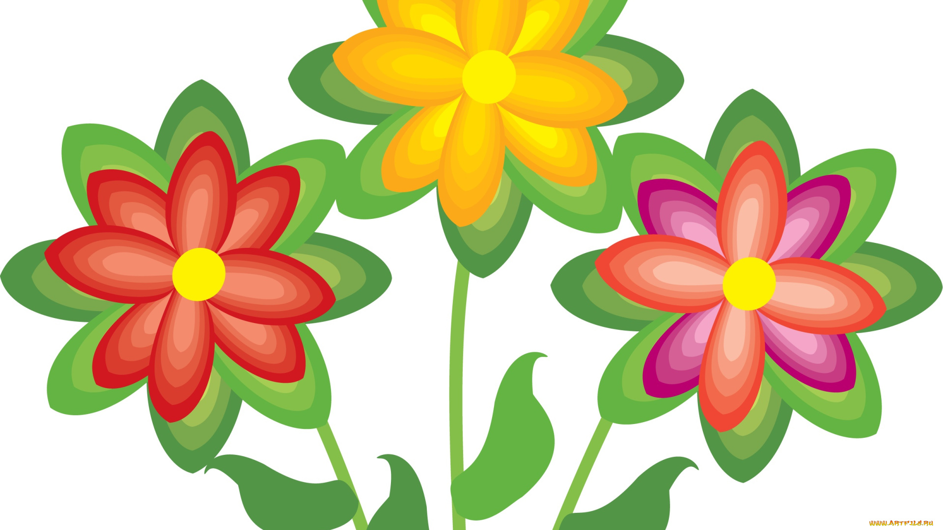 векторная, графика, цветы, , flowers, фон, лепестки, цветы