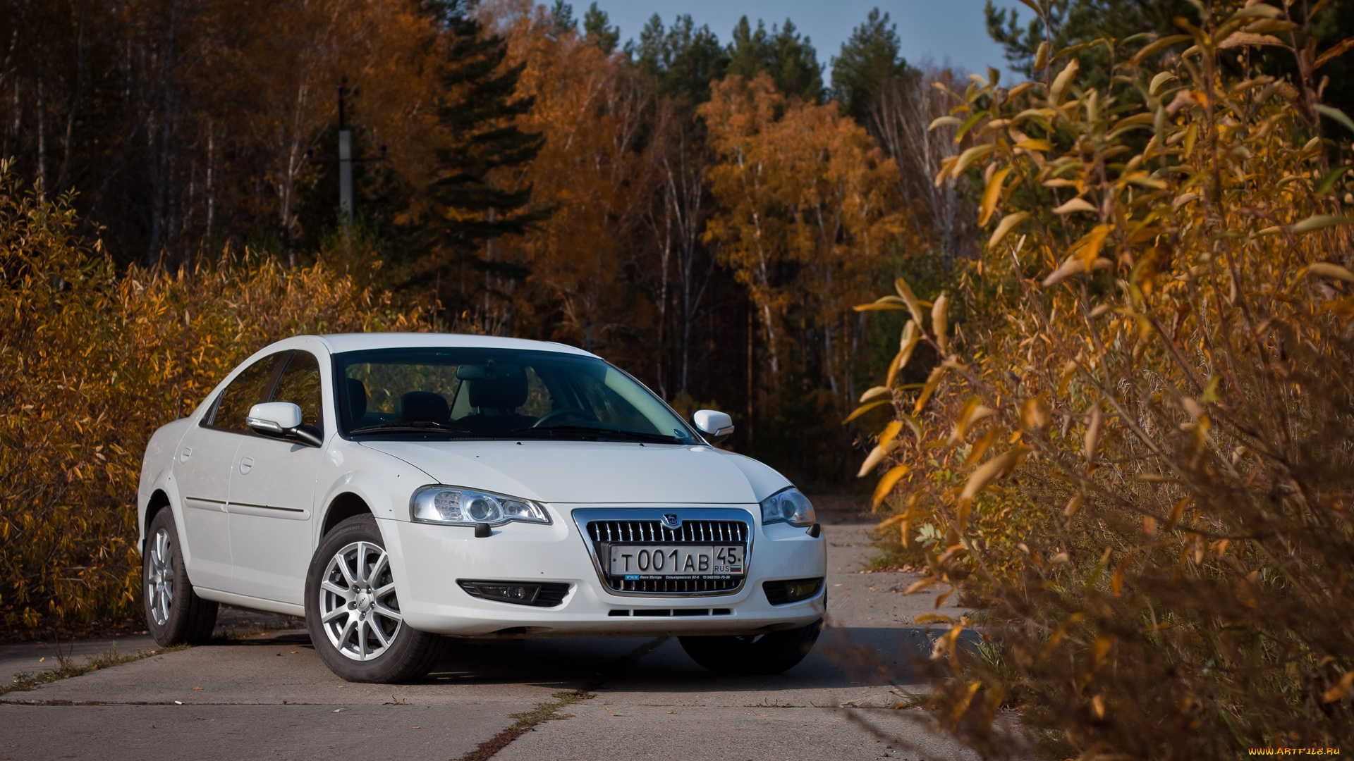 волга, сайбер, автомобили, газ, сайбер, волга