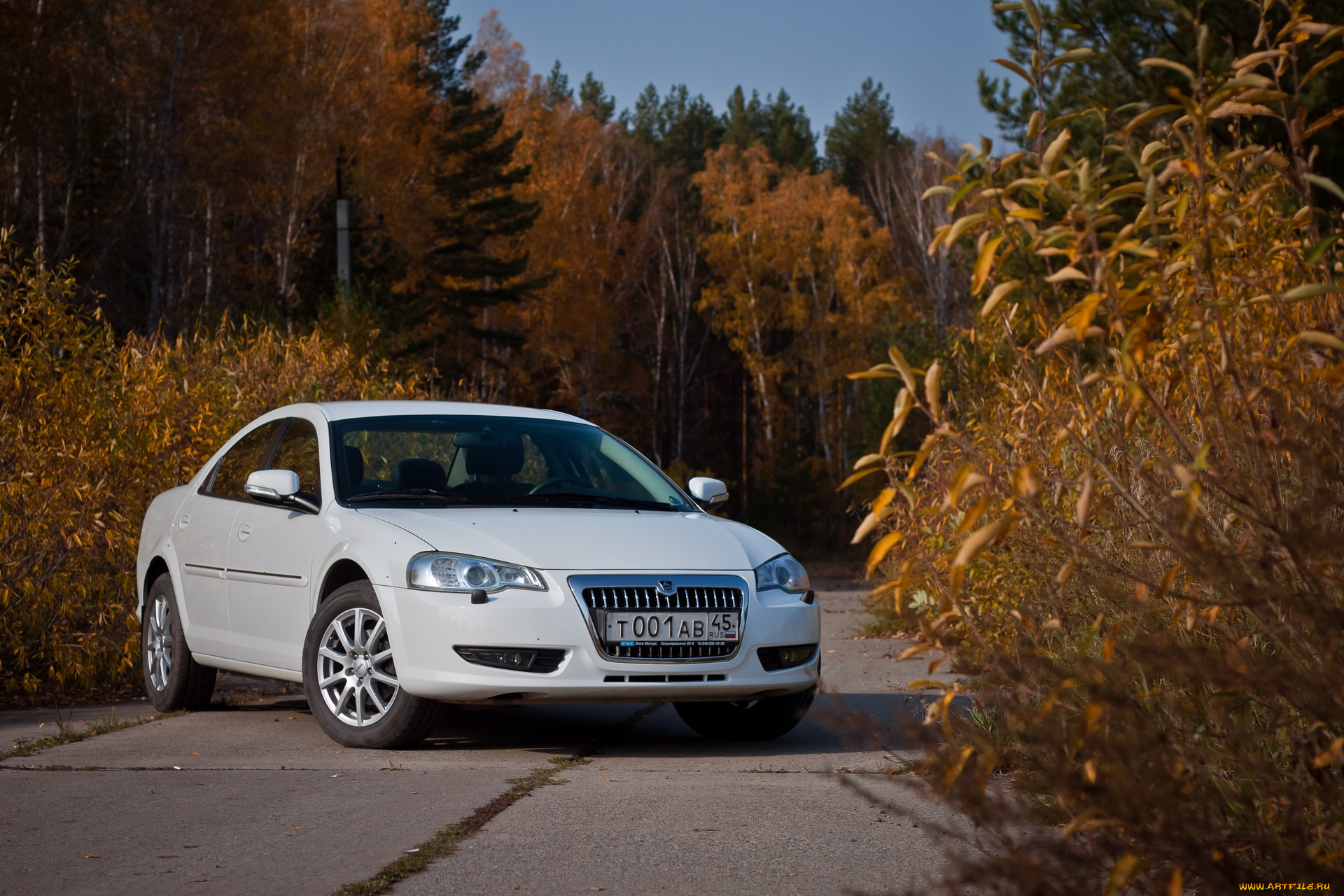 волга, сайбер, автомобили, газ, сайбер, волга