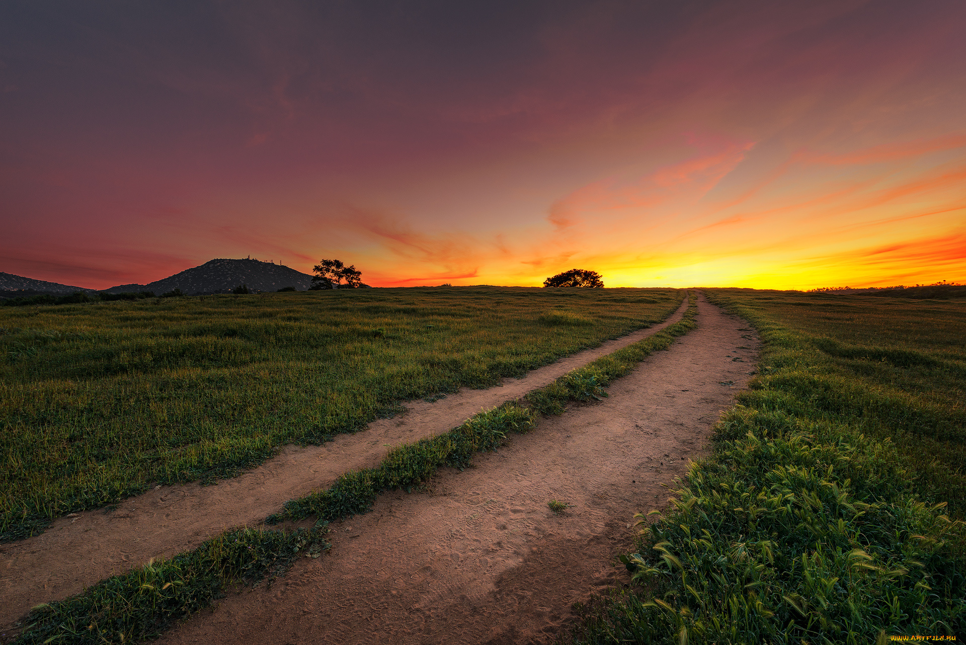 природа, дороги, рассвет