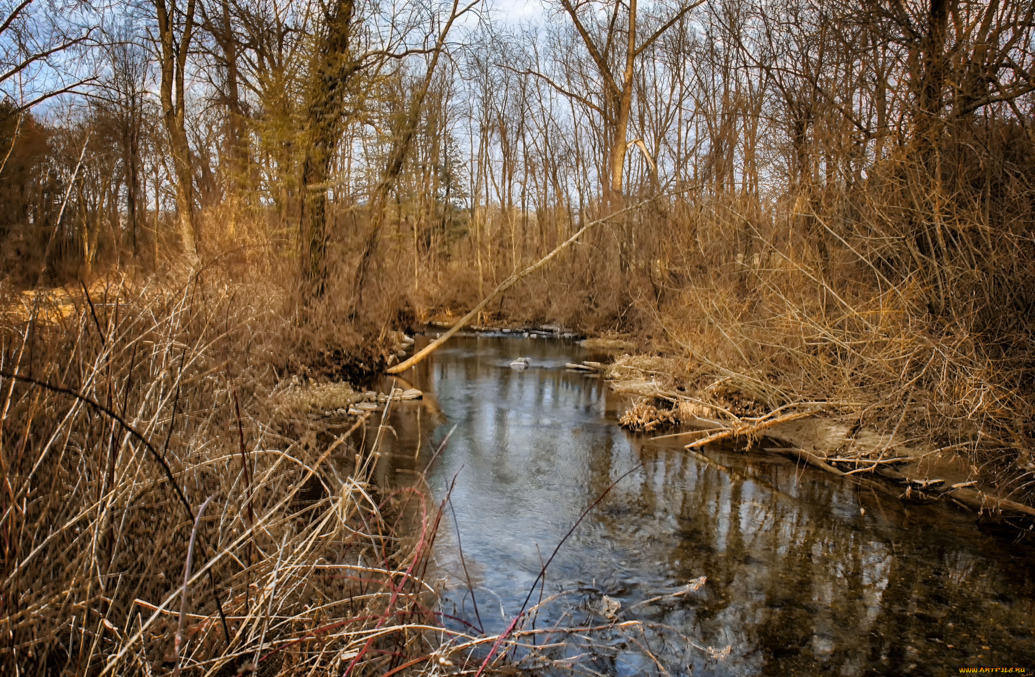 природа, реки, озера, лес, река