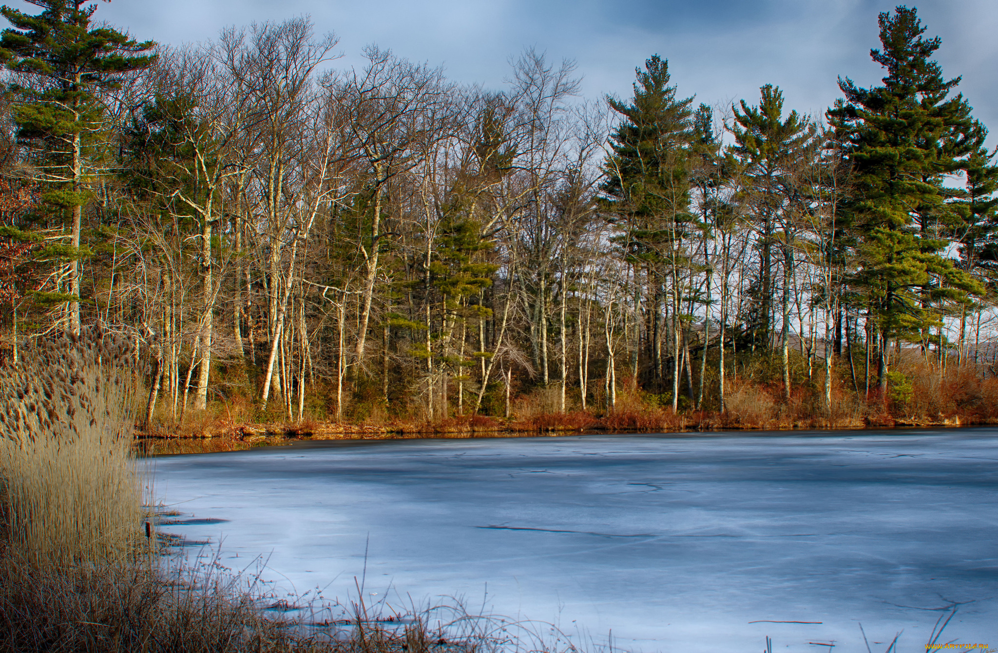 природа, реки, озера, река, лес