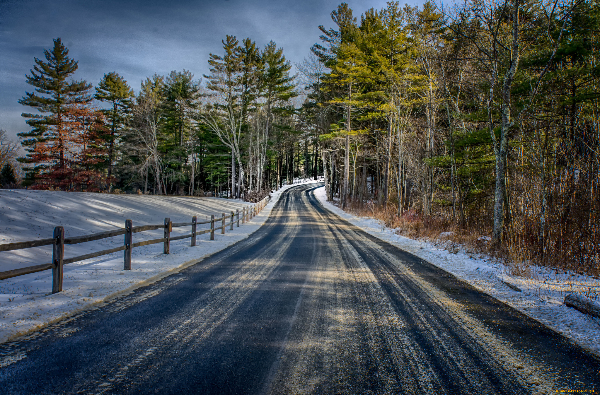 природа, дороги, лес, шоссе