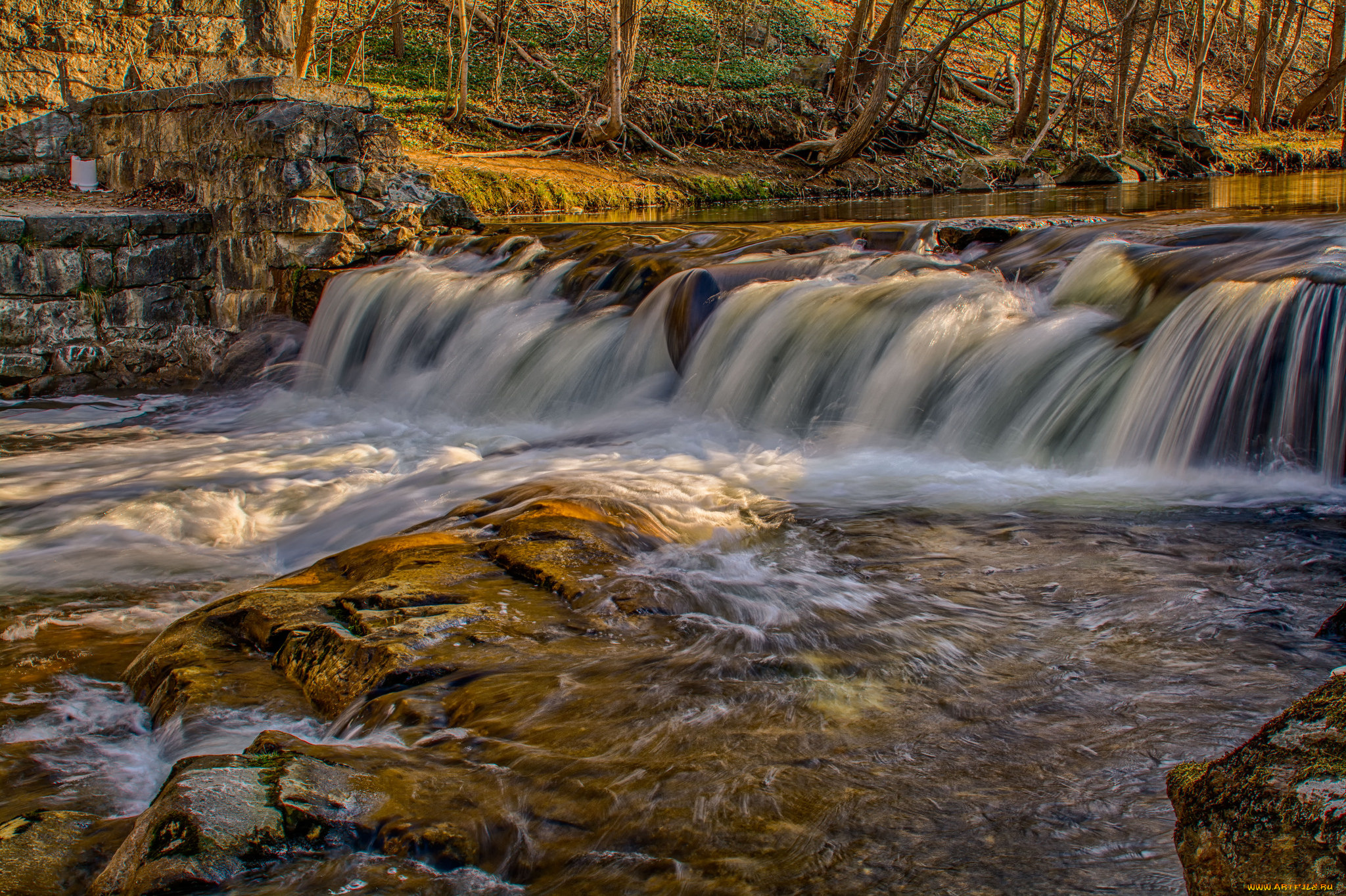 природа, реки, озера, лес, река