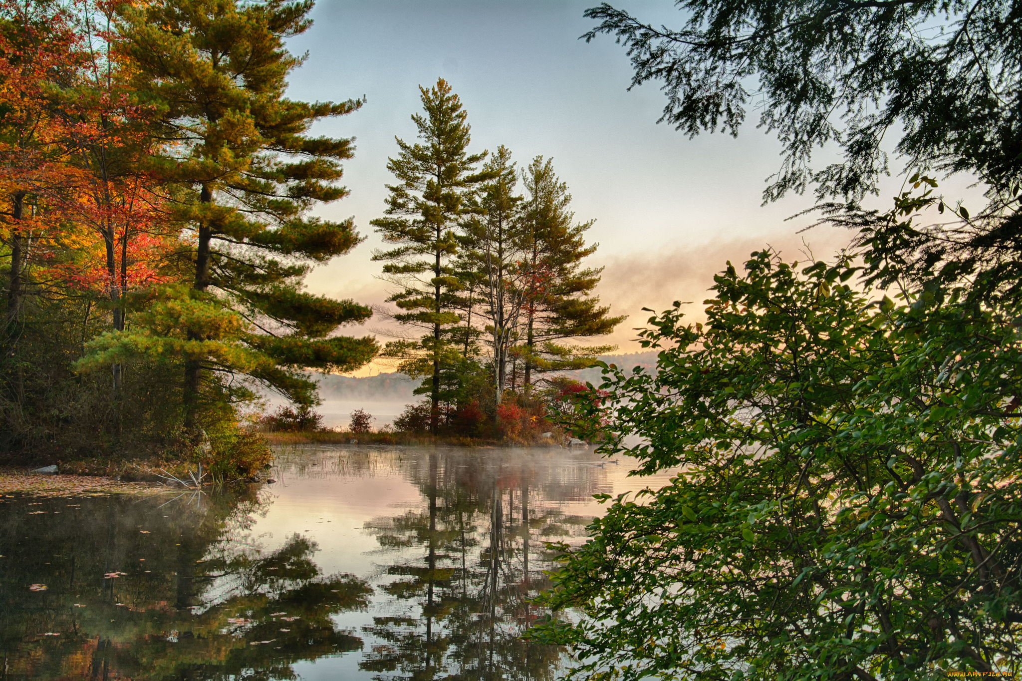 природа, реки, озера, лес, река