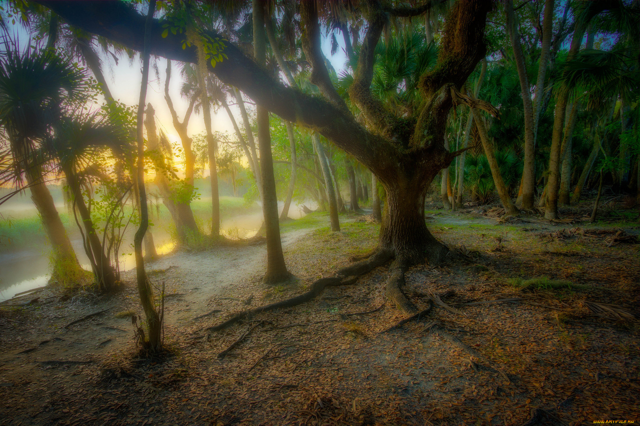 природа, восходы, закаты, рассвет