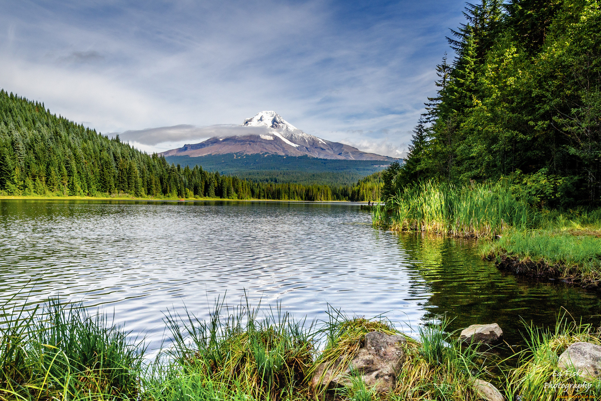 природа, реки, озера, река, лес