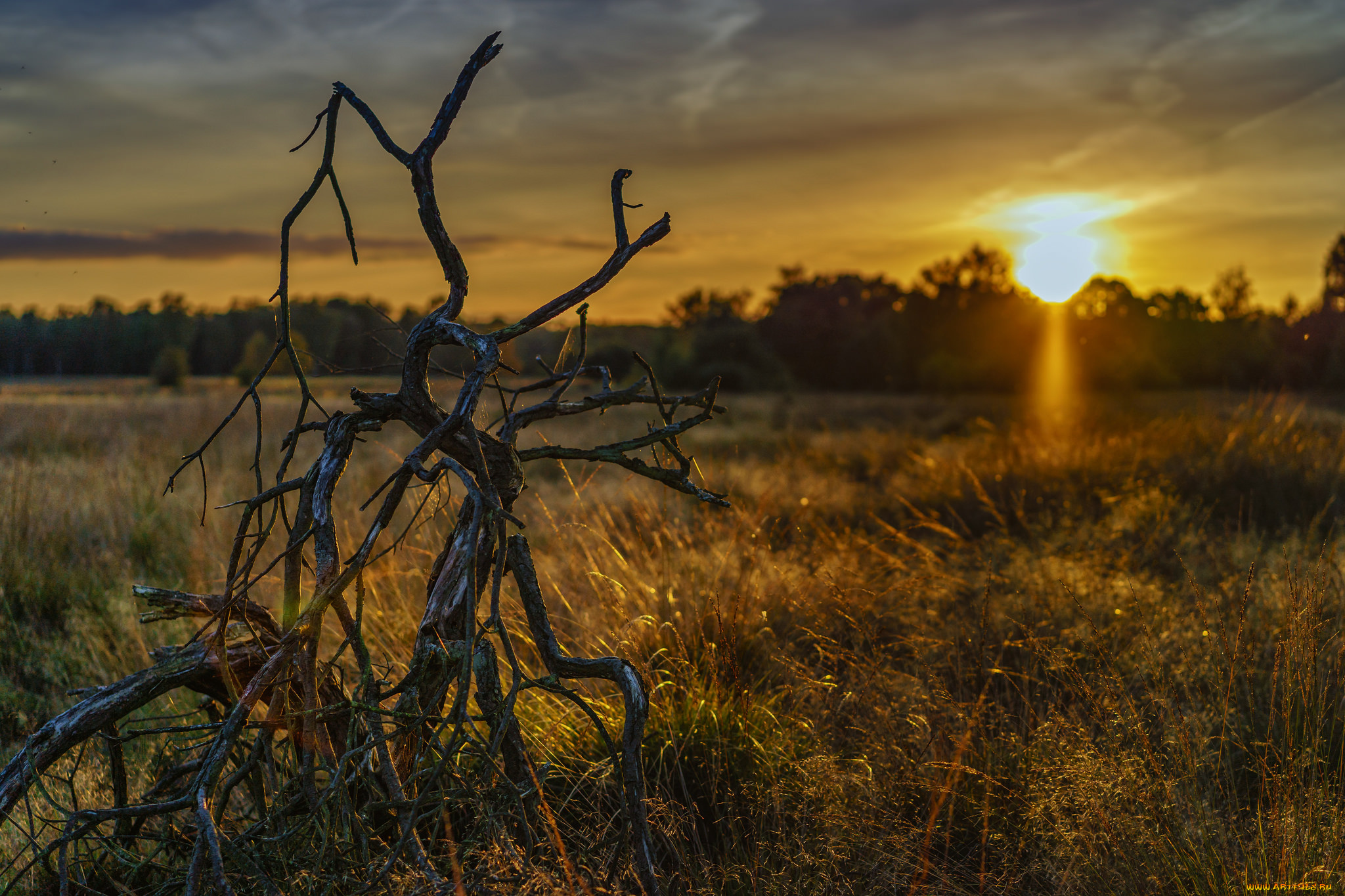 природа, восходы, закаты, рассвет