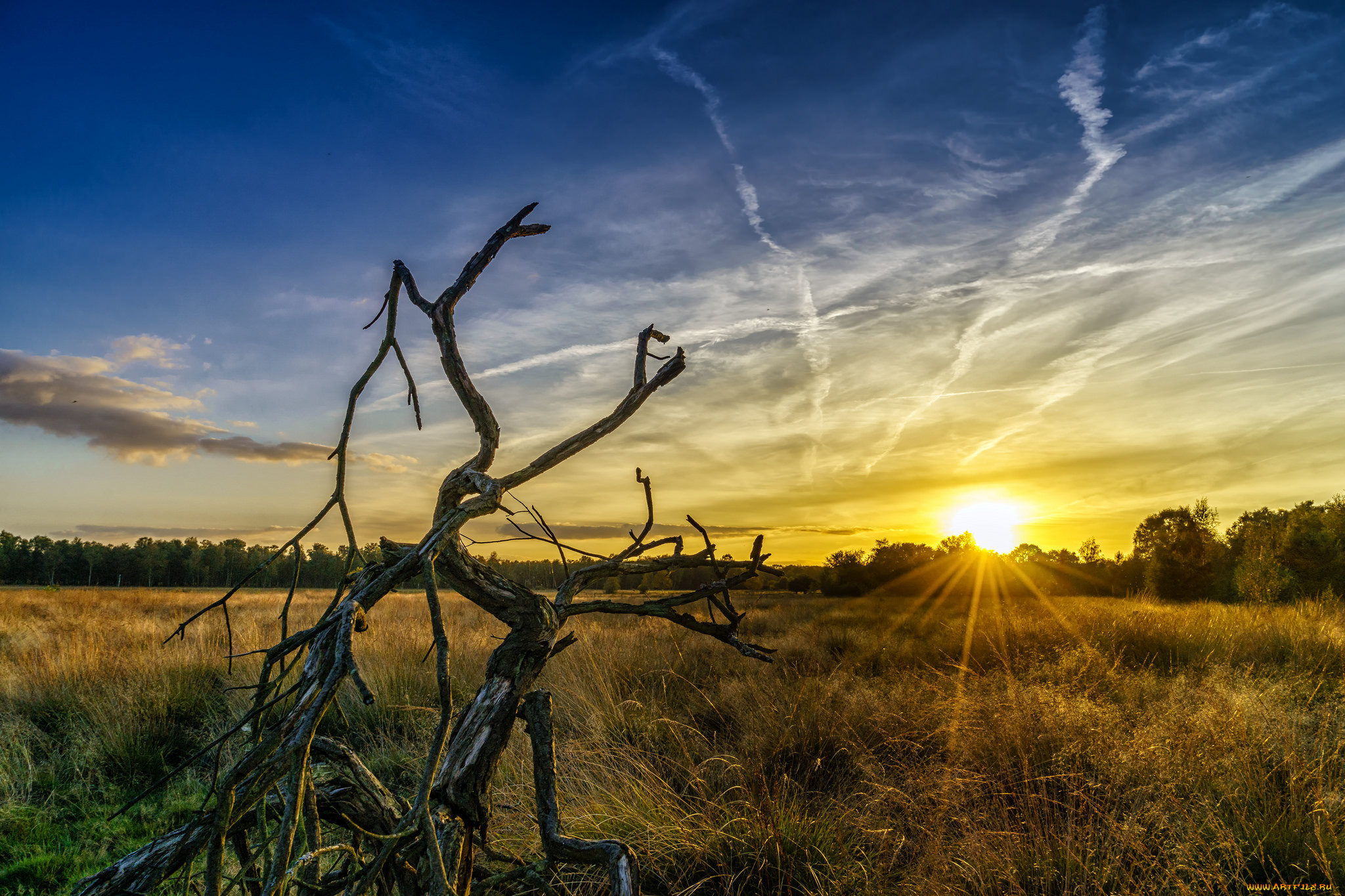 природа, восходы, закаты, рассвет