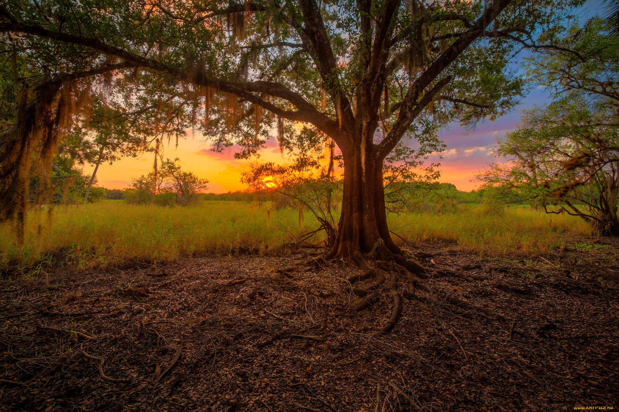 природа, восходы, закаты, рассвет