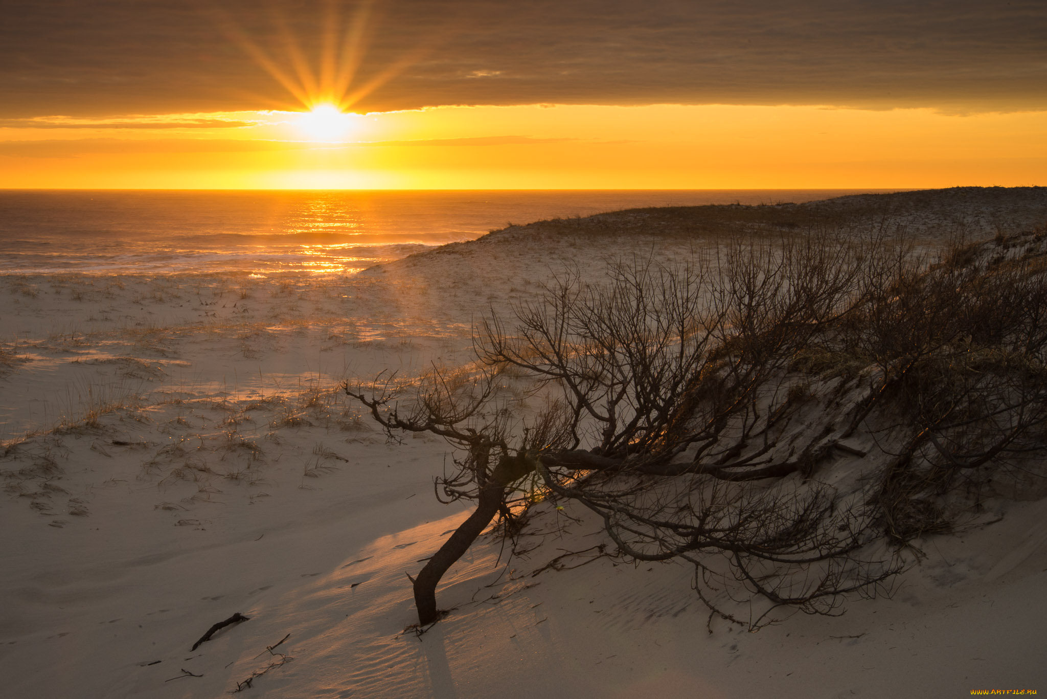 природа, восходы, закаты, рассвет