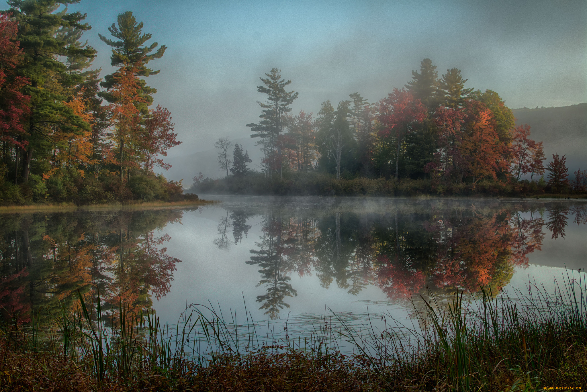 природа, реки, озера, река, лес