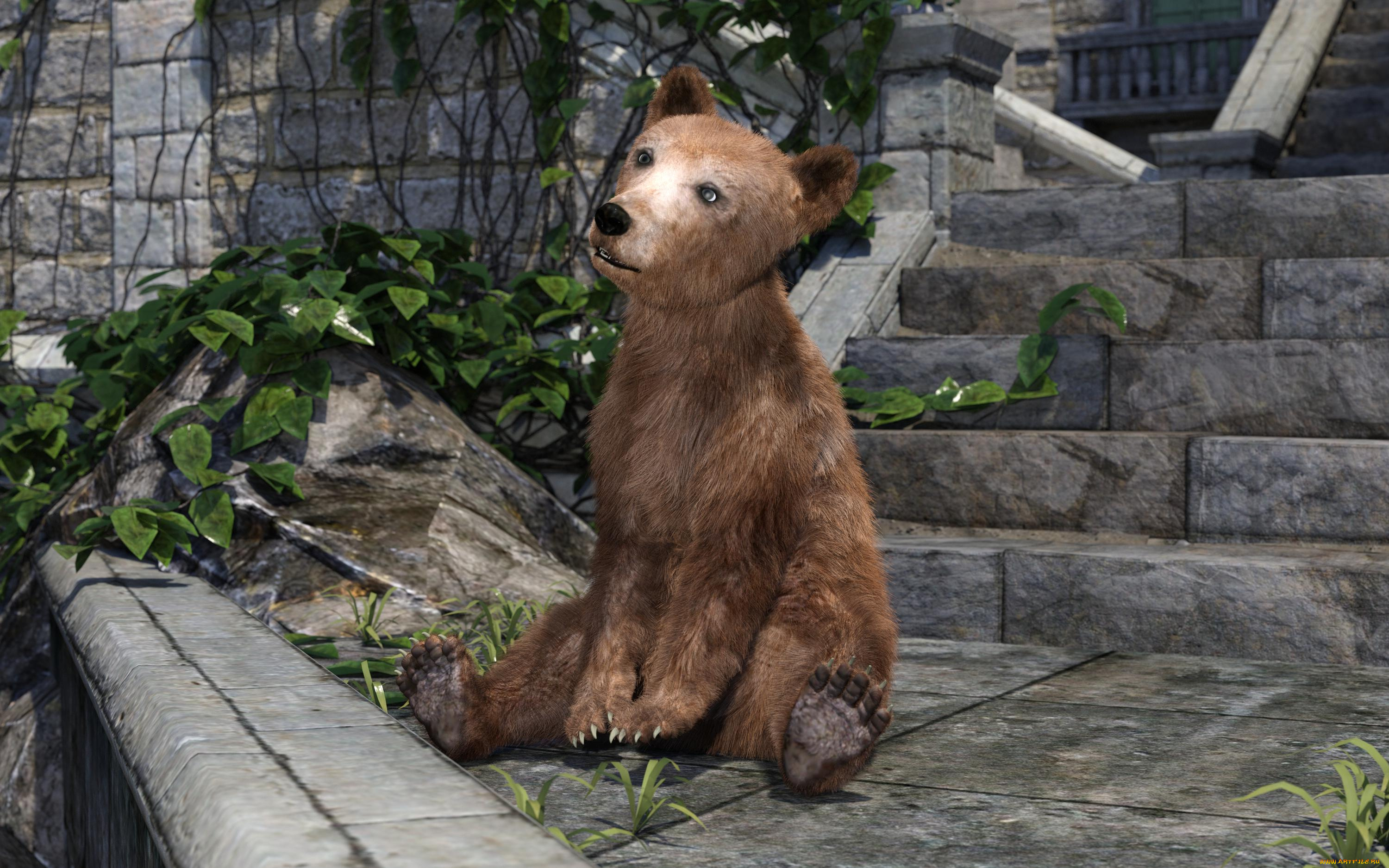 3д, графика, животные, , animals, медвежонок