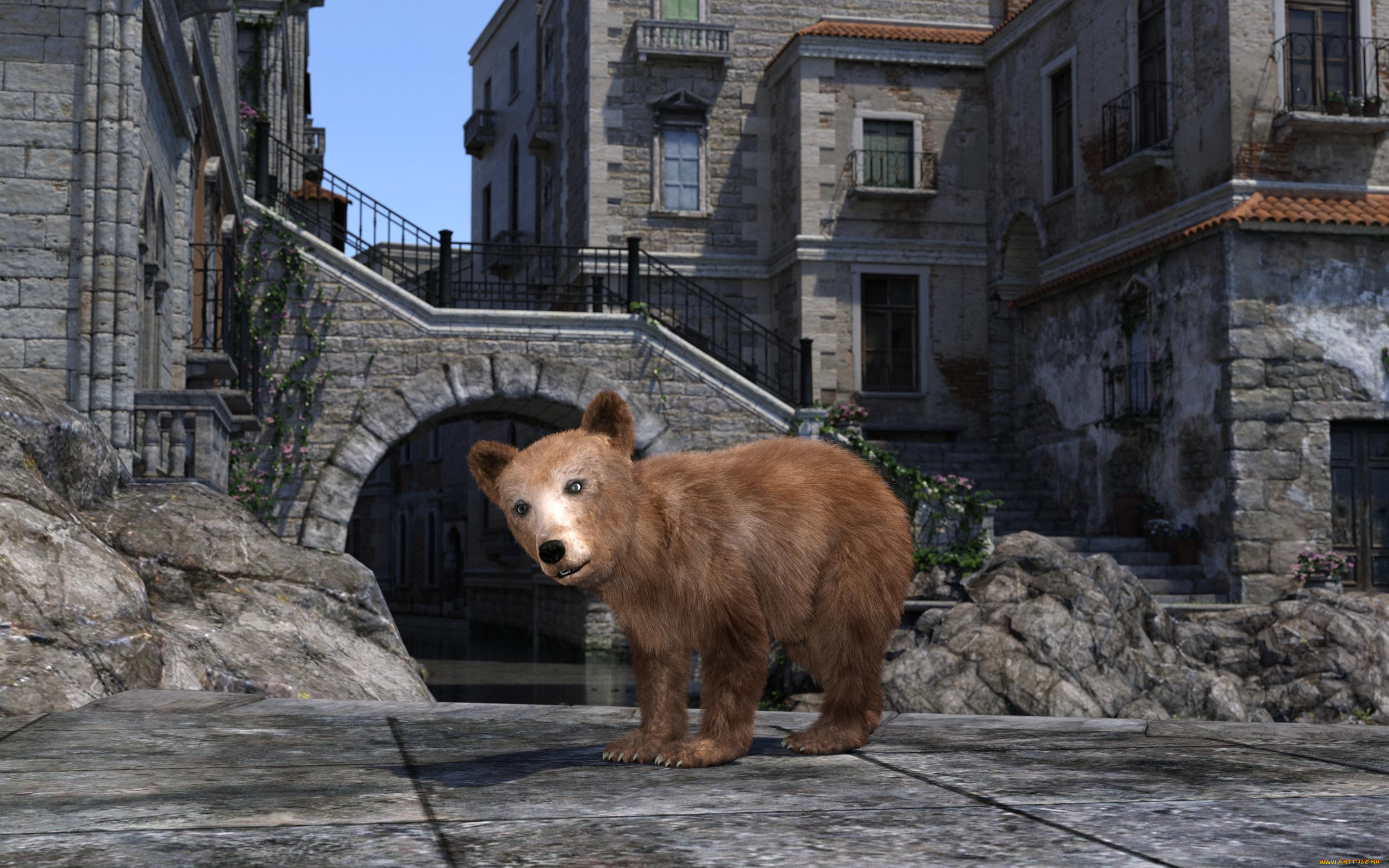 3д, графика, животные, , animals, медвежонок