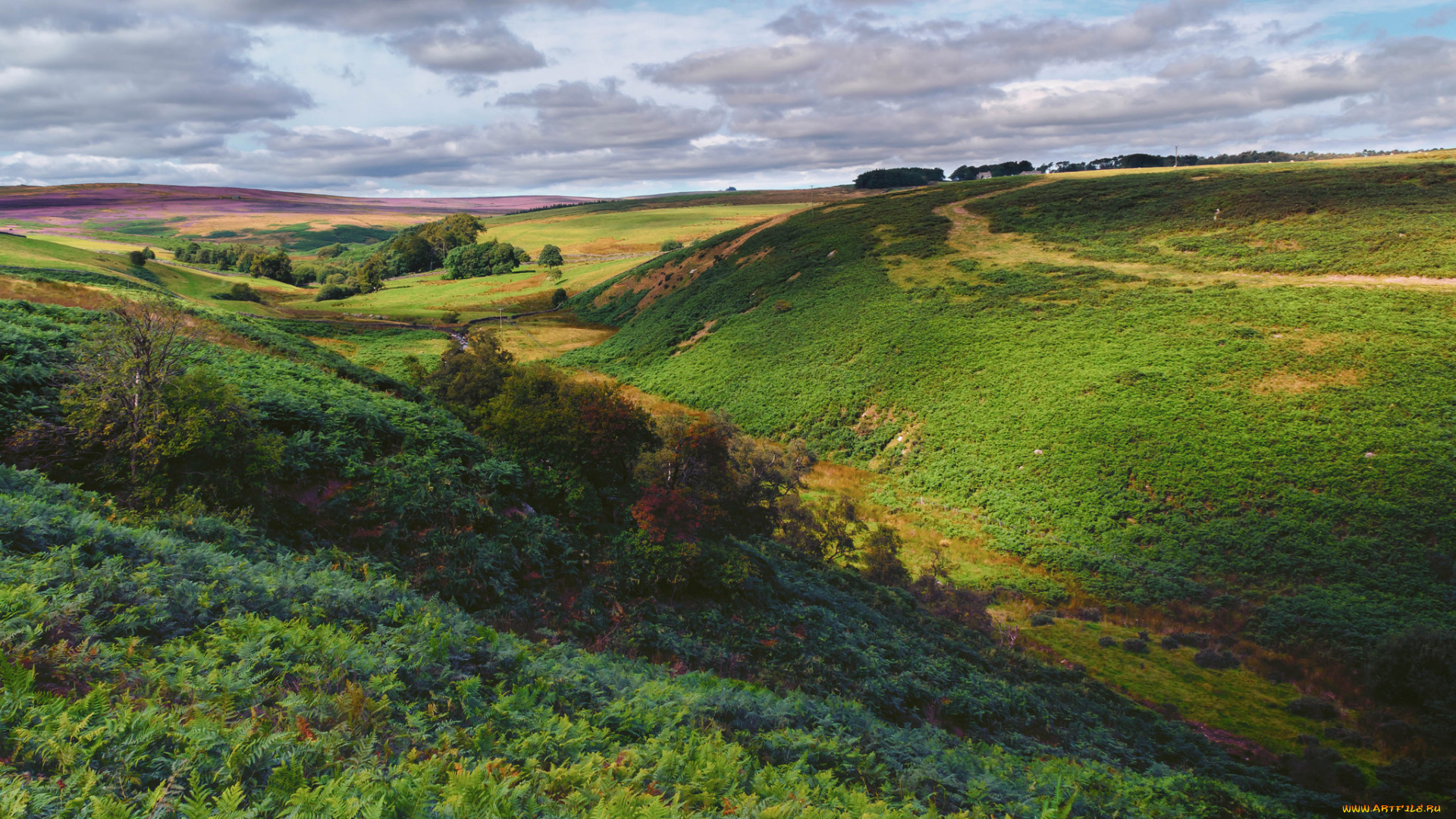 природа, пейзажи, простор