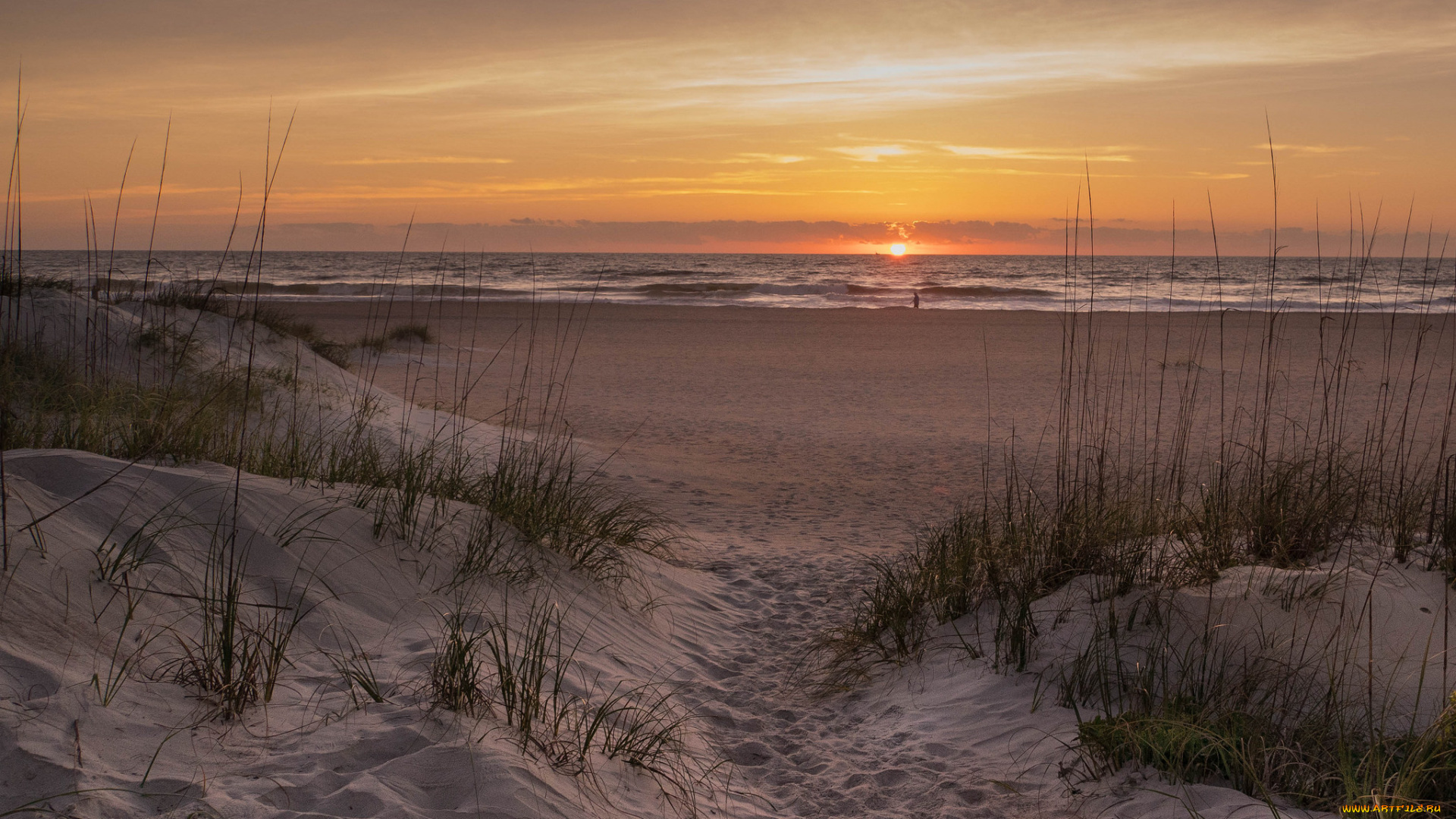 природа, побережье, берег, море