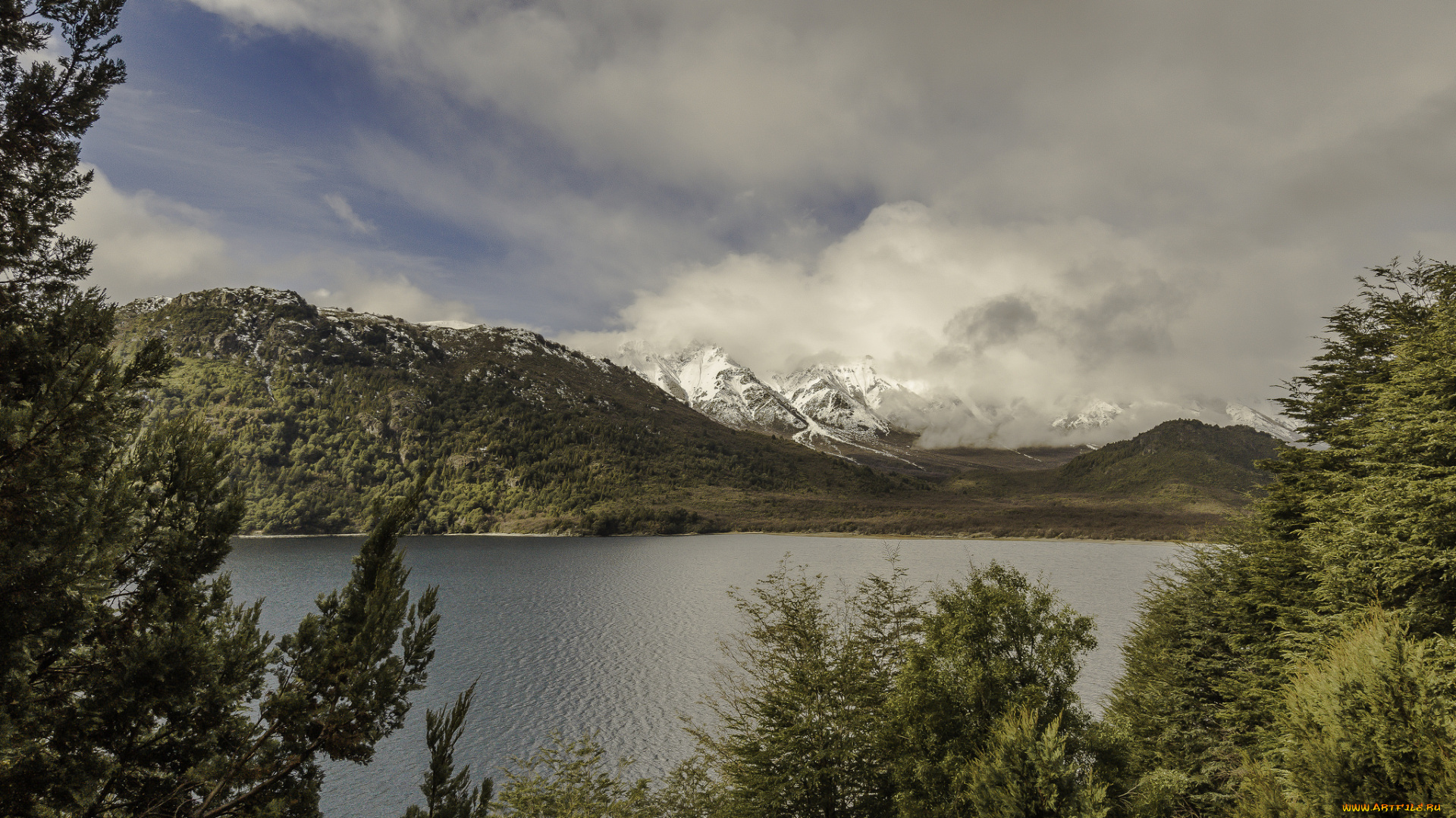 природа, реки, озера, лес, река