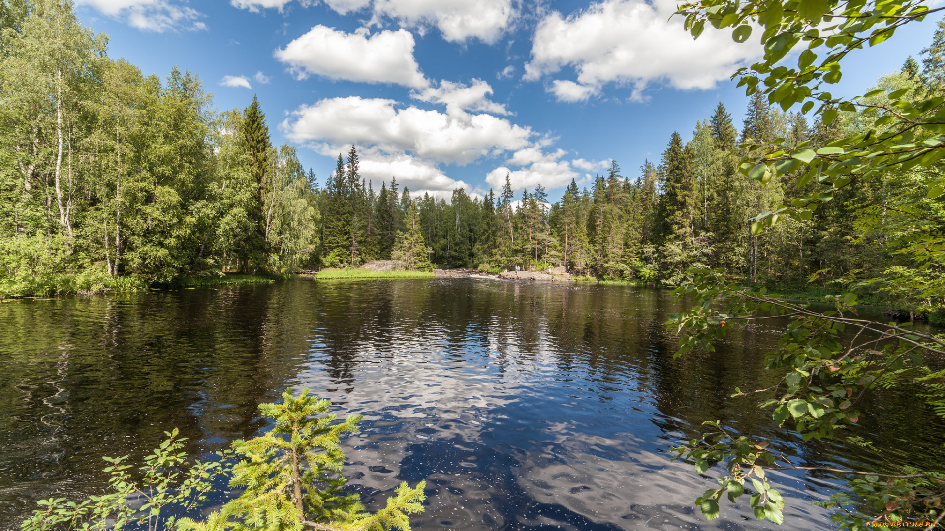 природа, реки, озера, лес, река