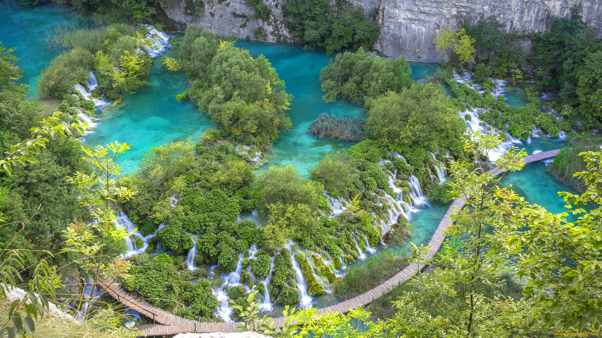 природа, реки, озера, лес, река