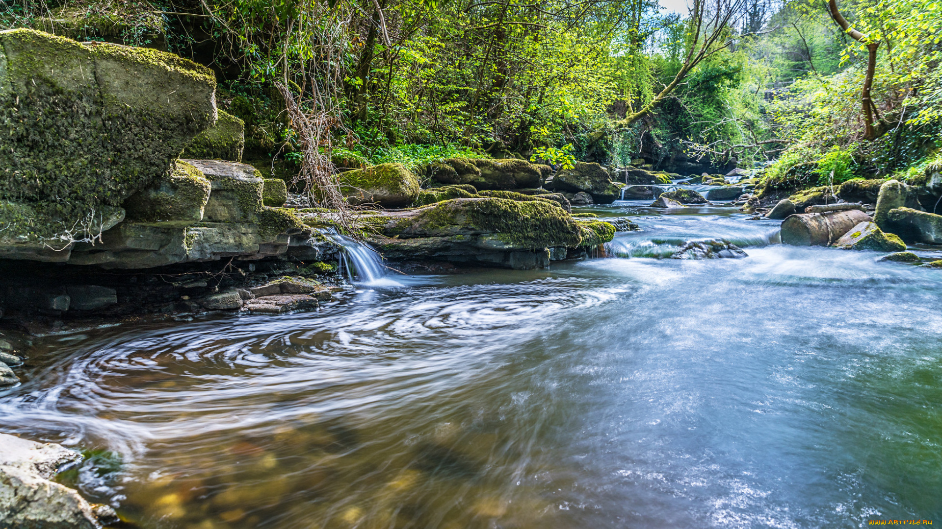 природа, реки, озера, лес, река