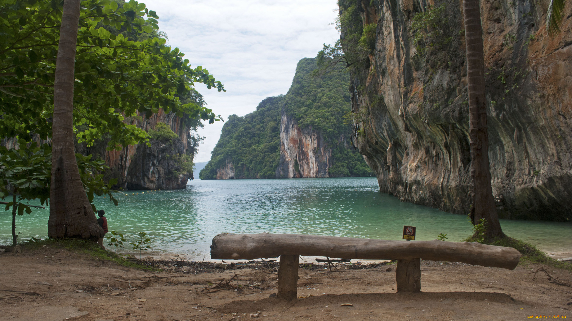 природа, реки, озера, река, лес