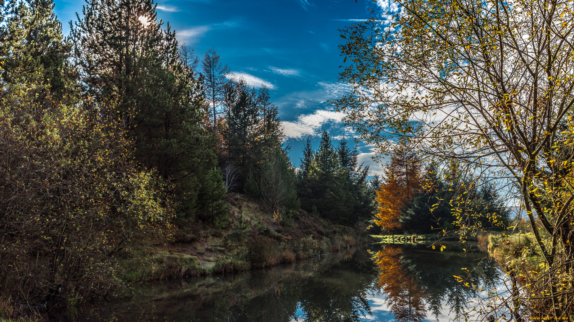 природа, реки, озера, река, лес