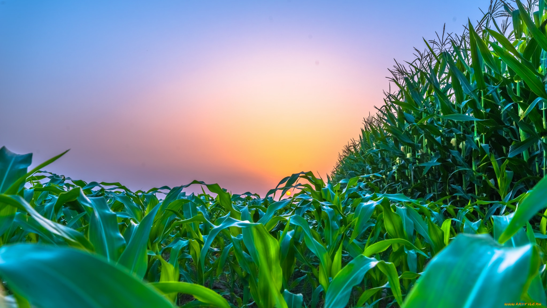 природа, восходы, закаты, рассвет