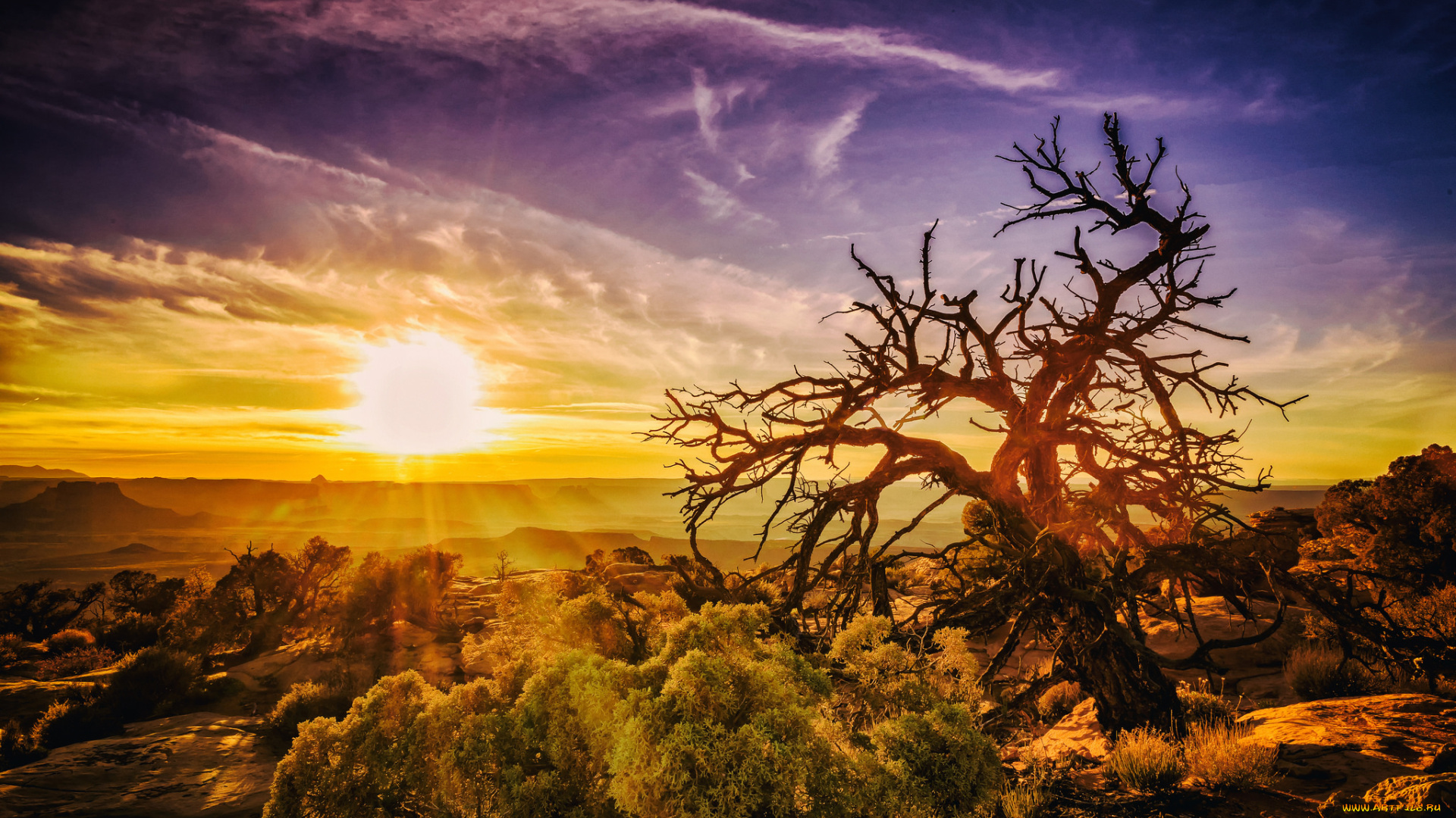 природа, восходы, закаты, рассвет