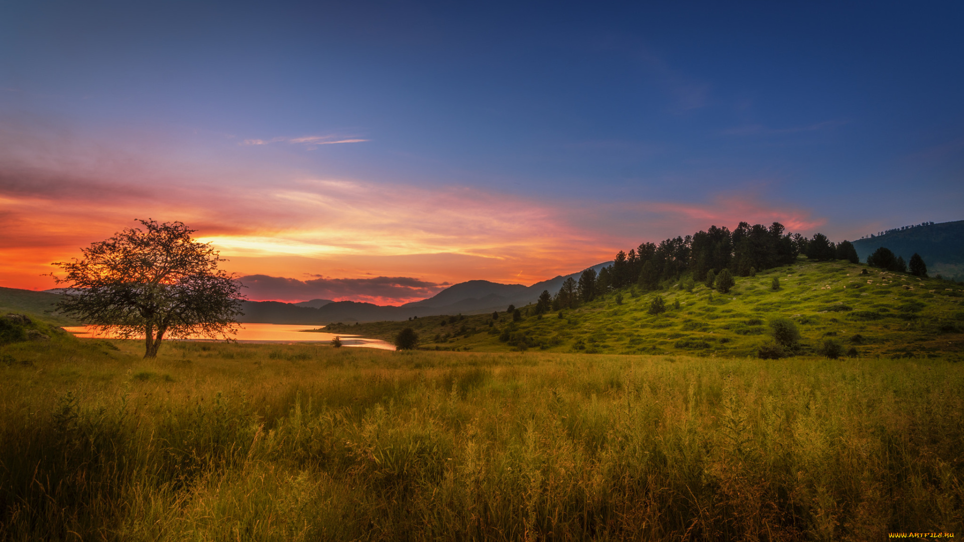 природа, восходы, закаты, рассвет