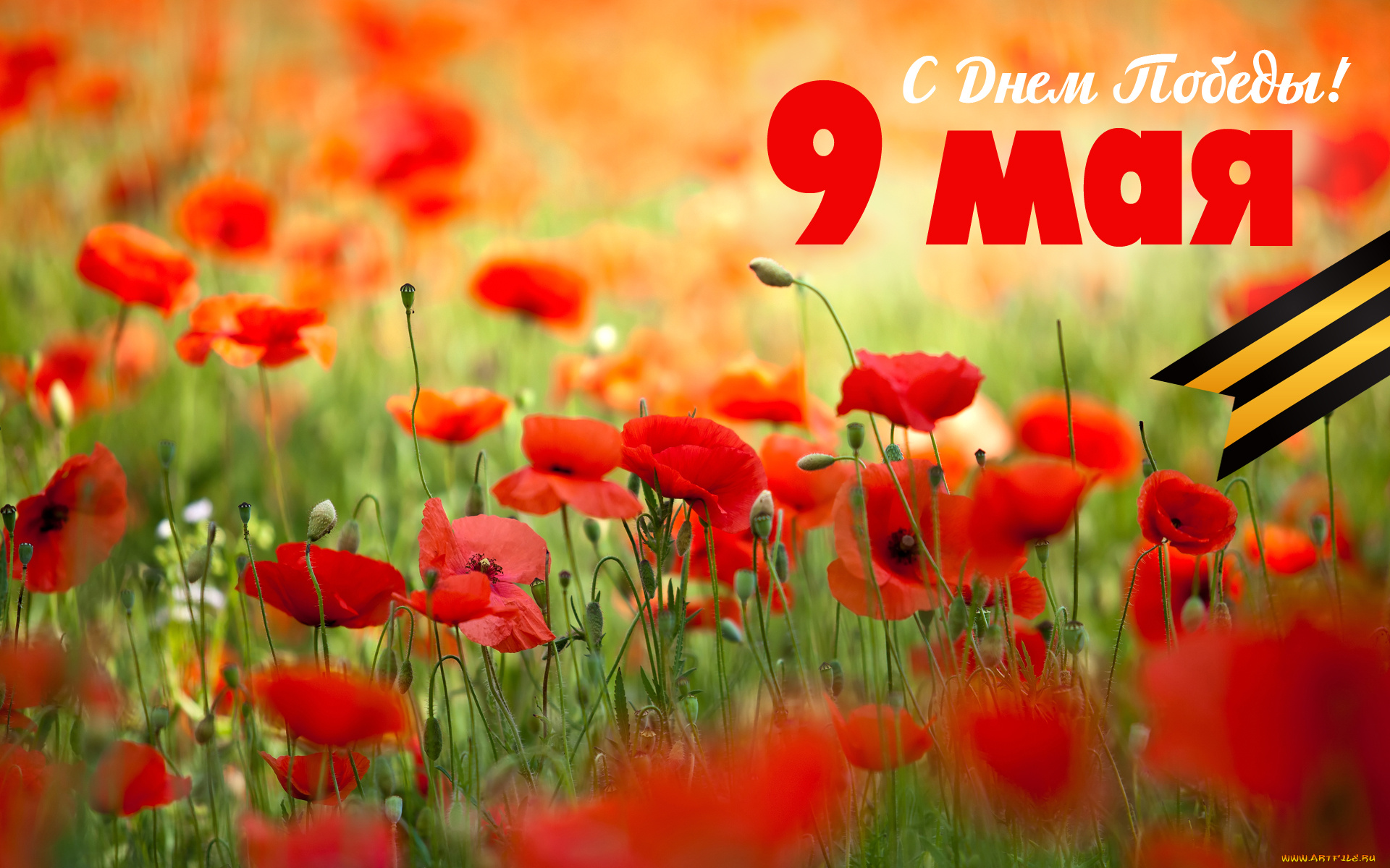 праздничные, день, победы, 9, мая