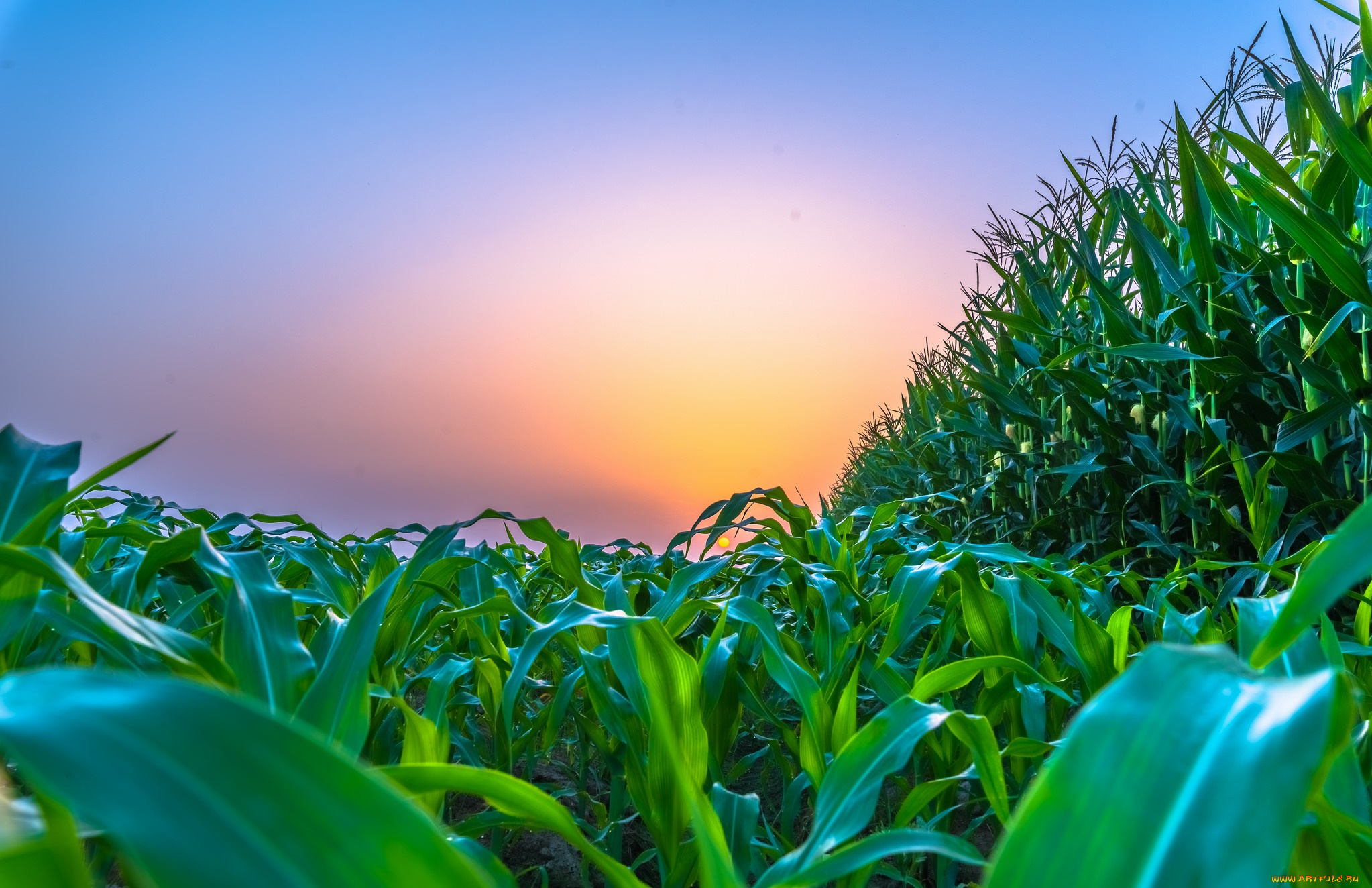 природа, восходы, закаты, рассвет