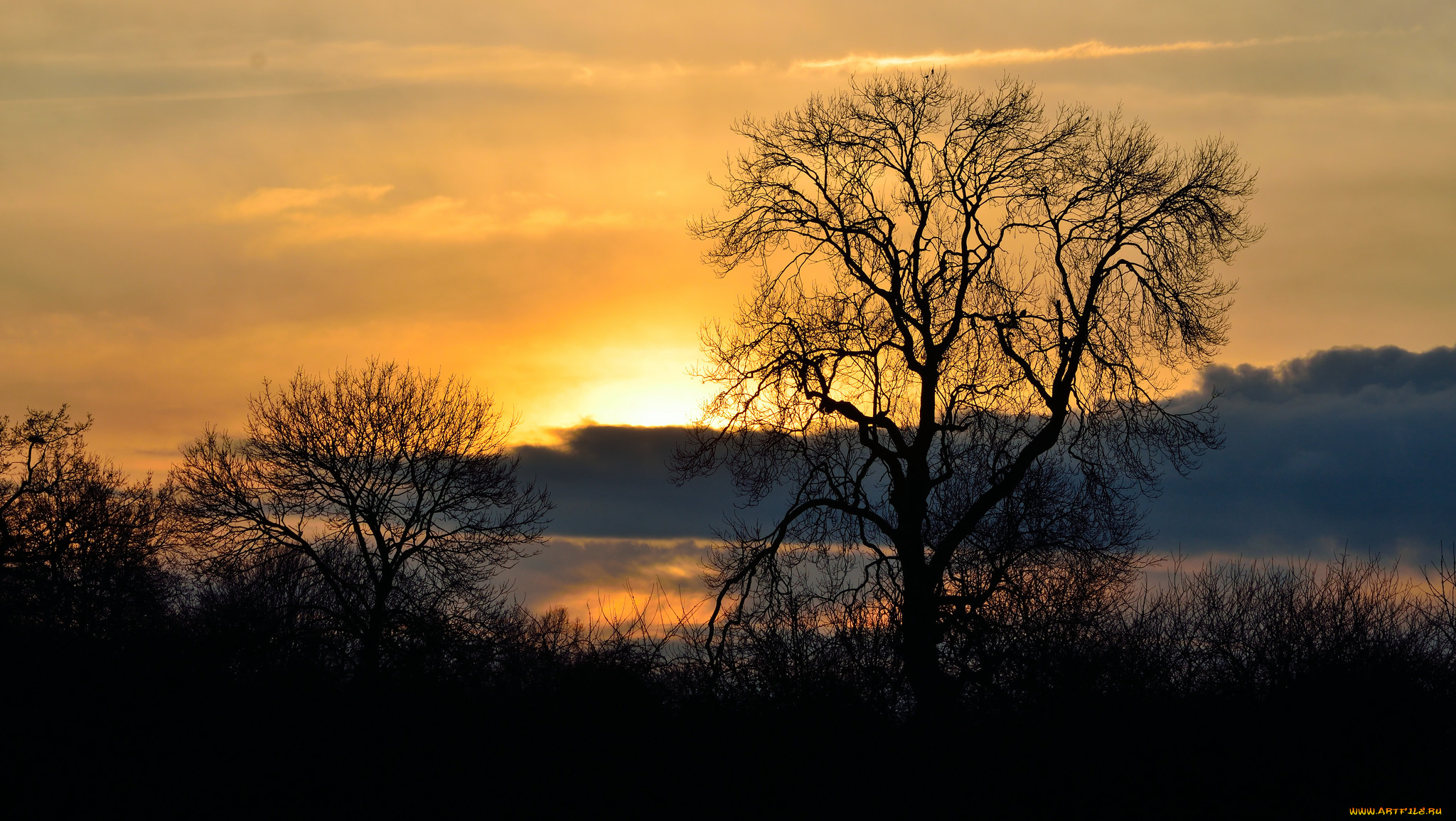 природа, восходы, закаты, рассвет