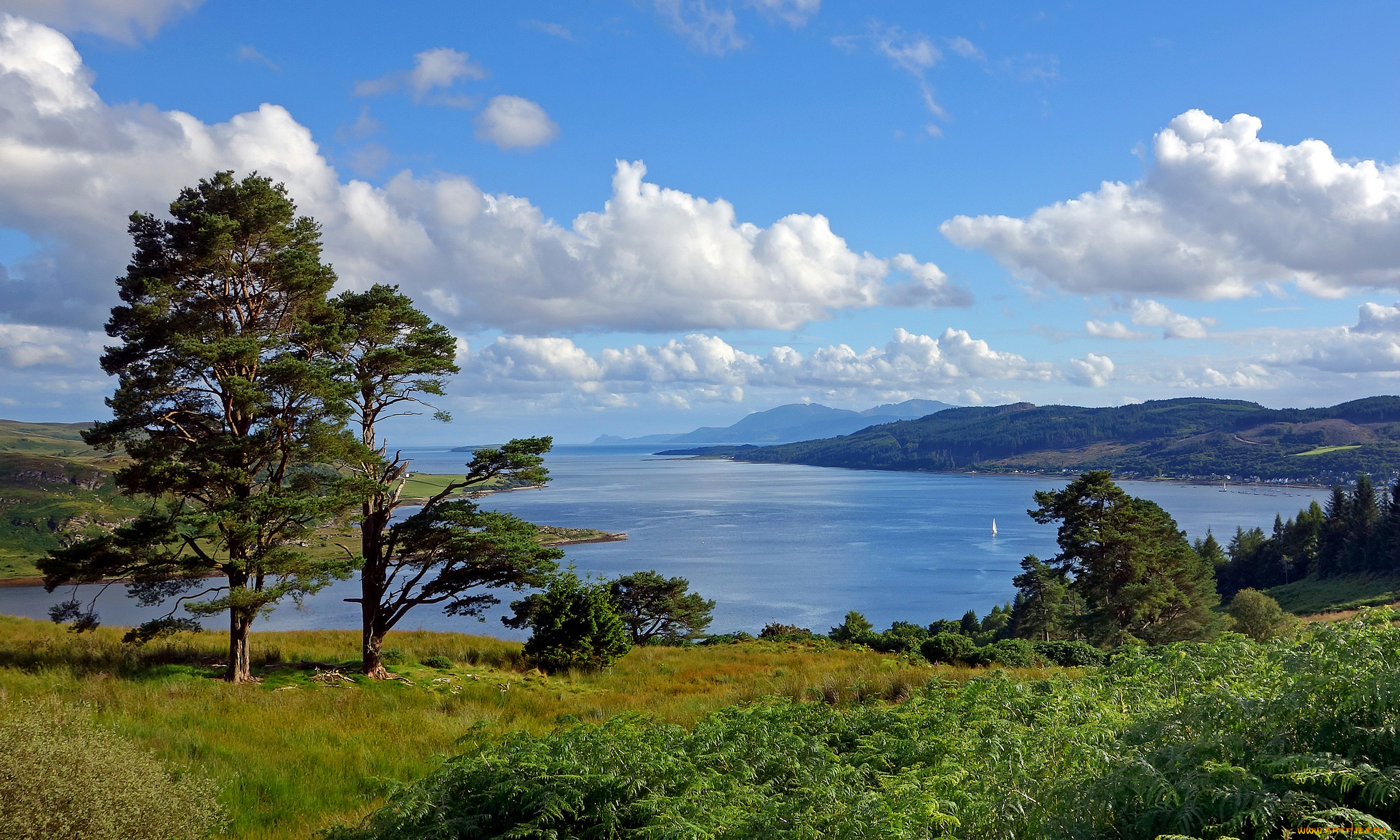 природа, побережье, берег, море