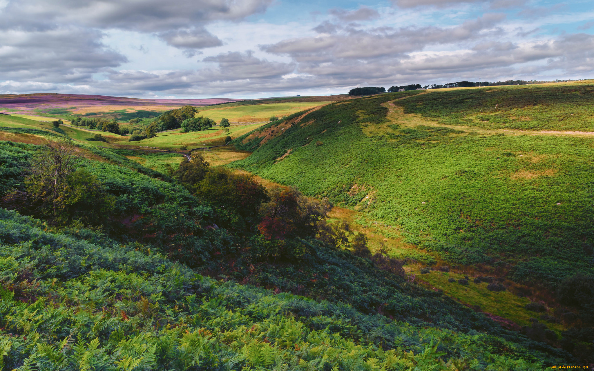 природа, пейзажи, простор