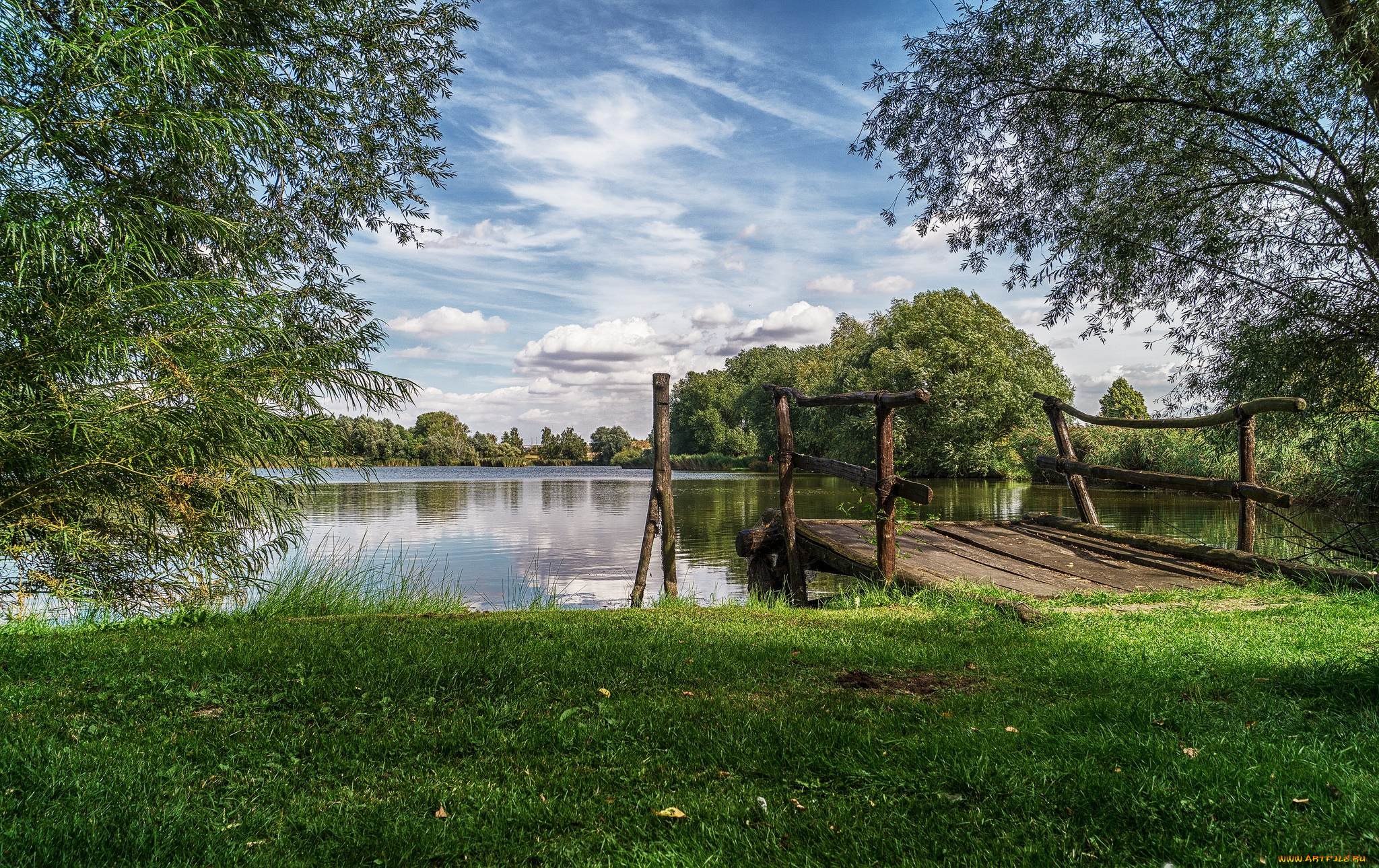 природа, реки, озера, река, лес