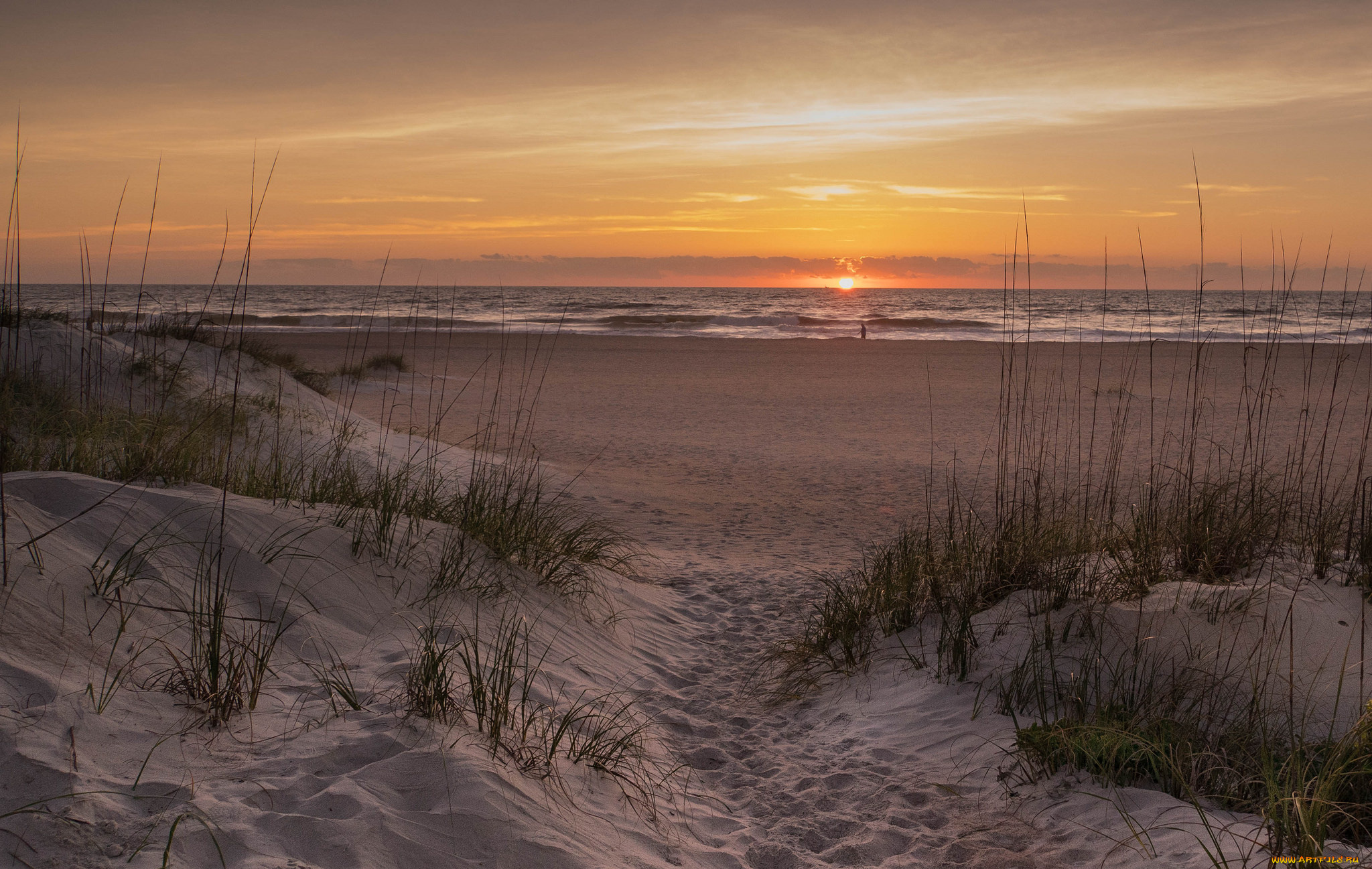 природа, побережье, берег, море