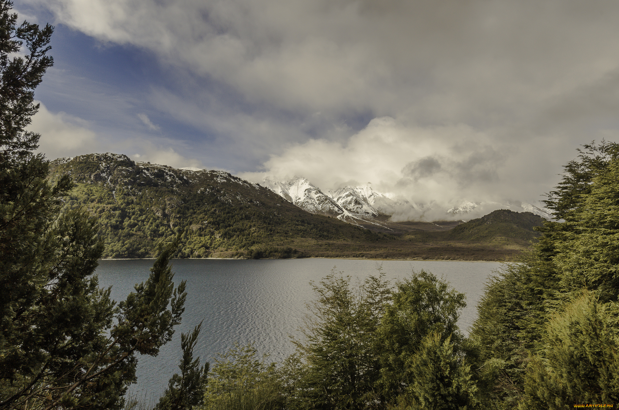 природа, реки, озера, лес, река